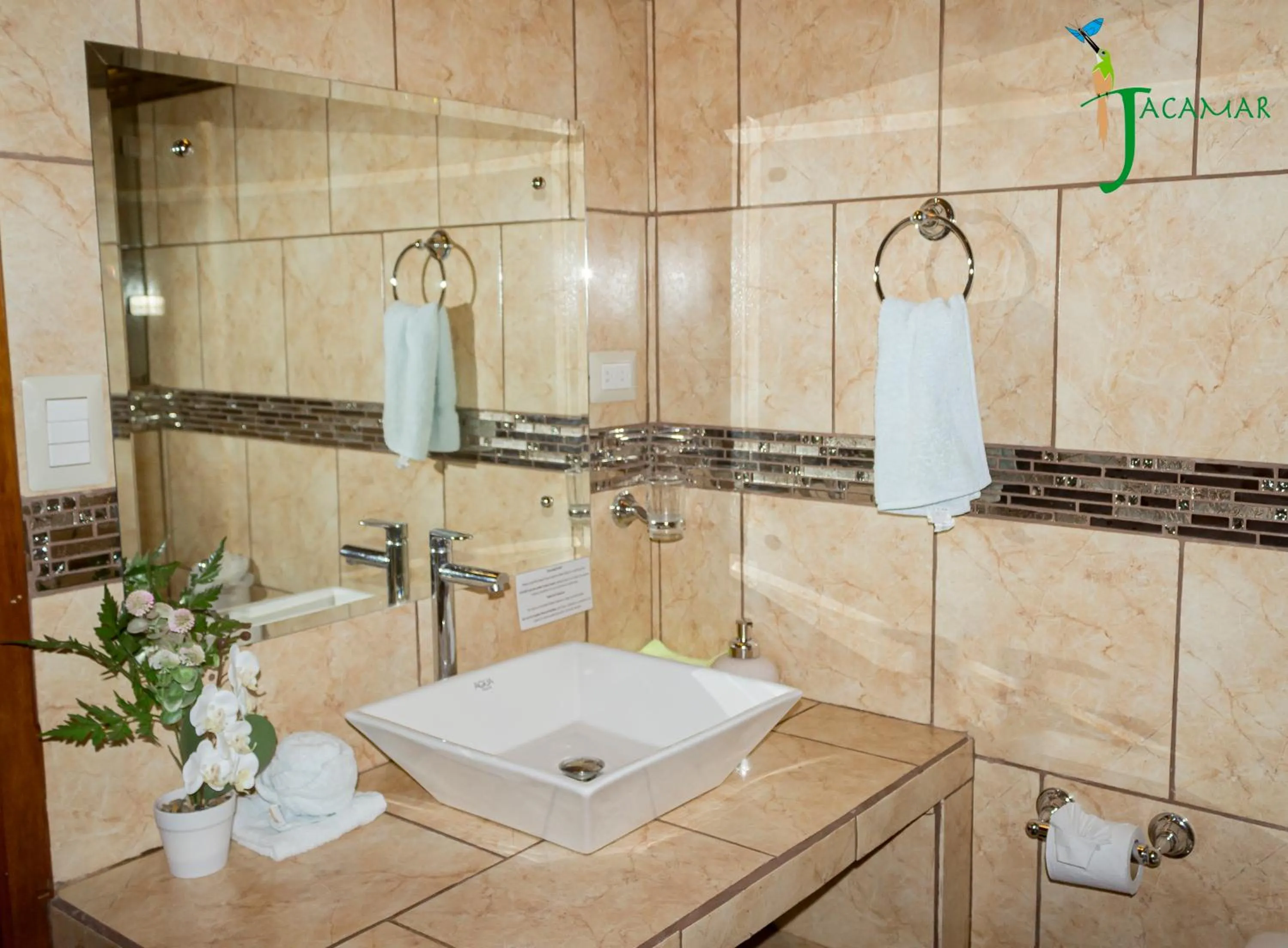 Jacamar Corcovado Drake Bay