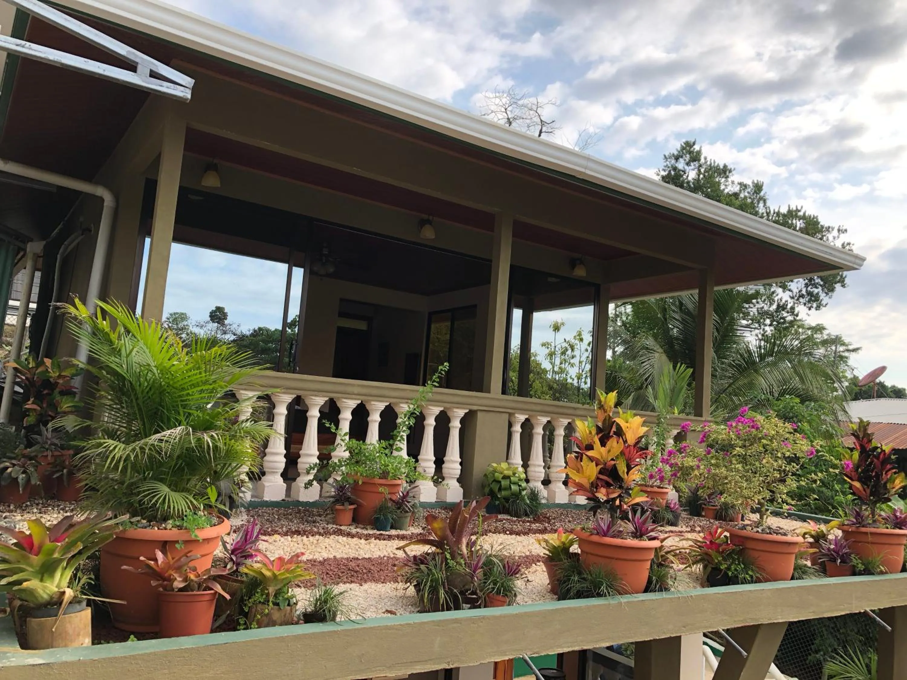 Jacamar Corcovado Drake Bay