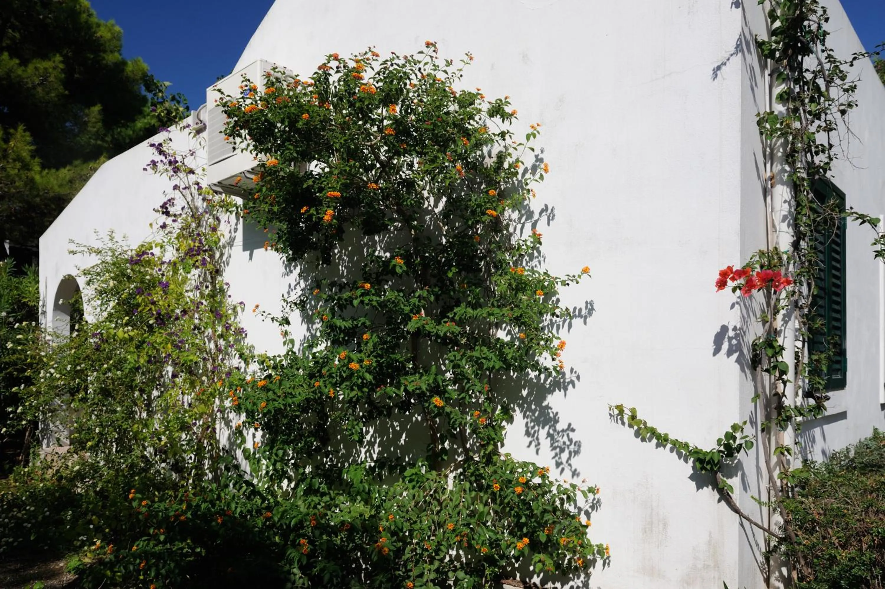 Garden in Baia Degli Aranci Suite & Apartments