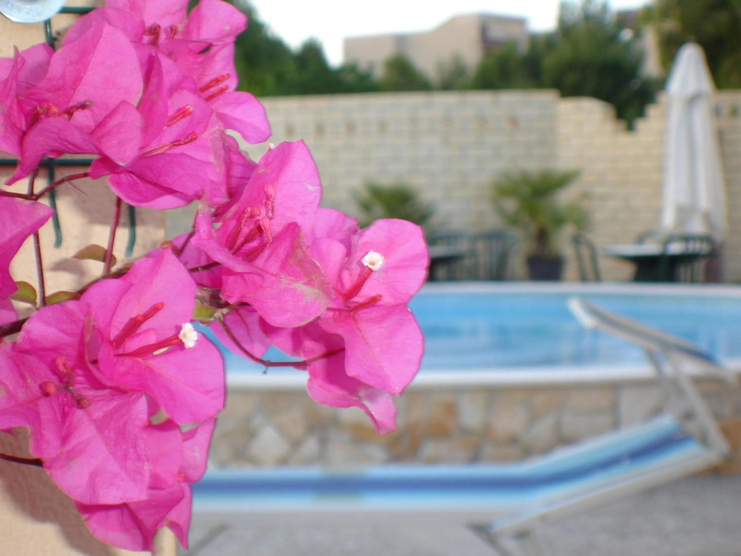 Swimming pool in Baia Degli Aranci Suite & Apartments