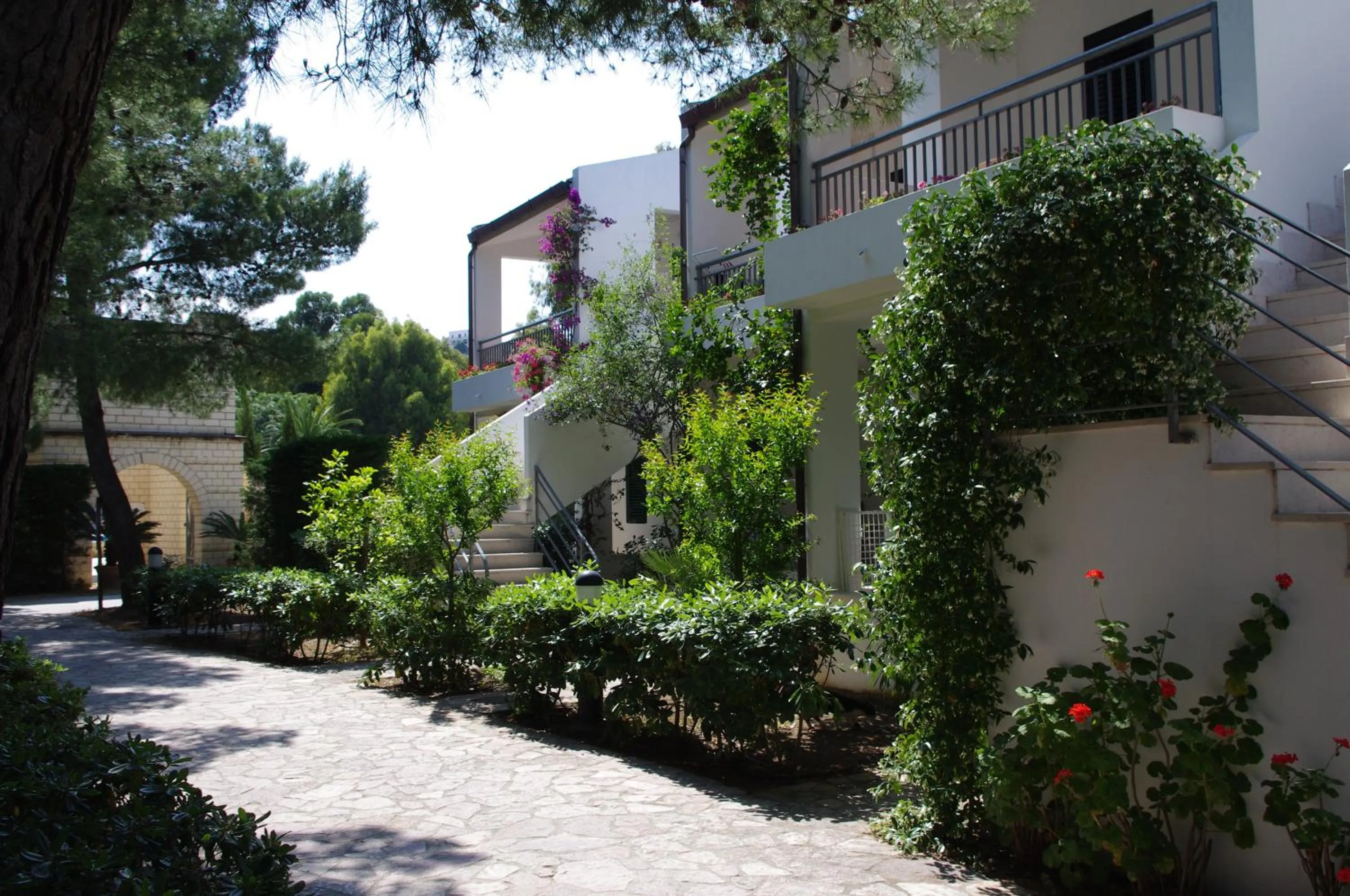 Summer in Baia Degli Aranci Suite & Apartments