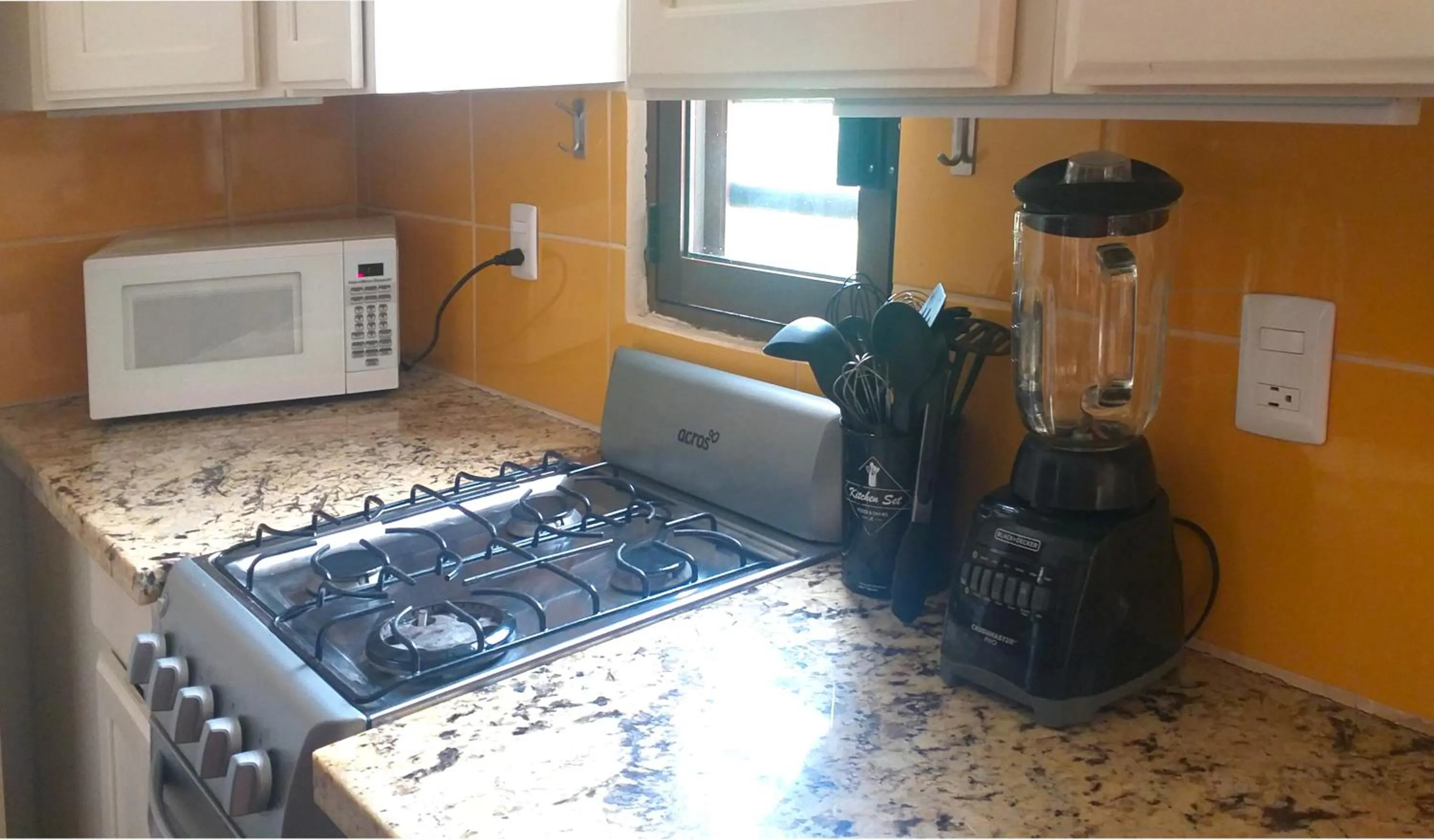 Kitchen or kitchenette in Mayan Beach Garden