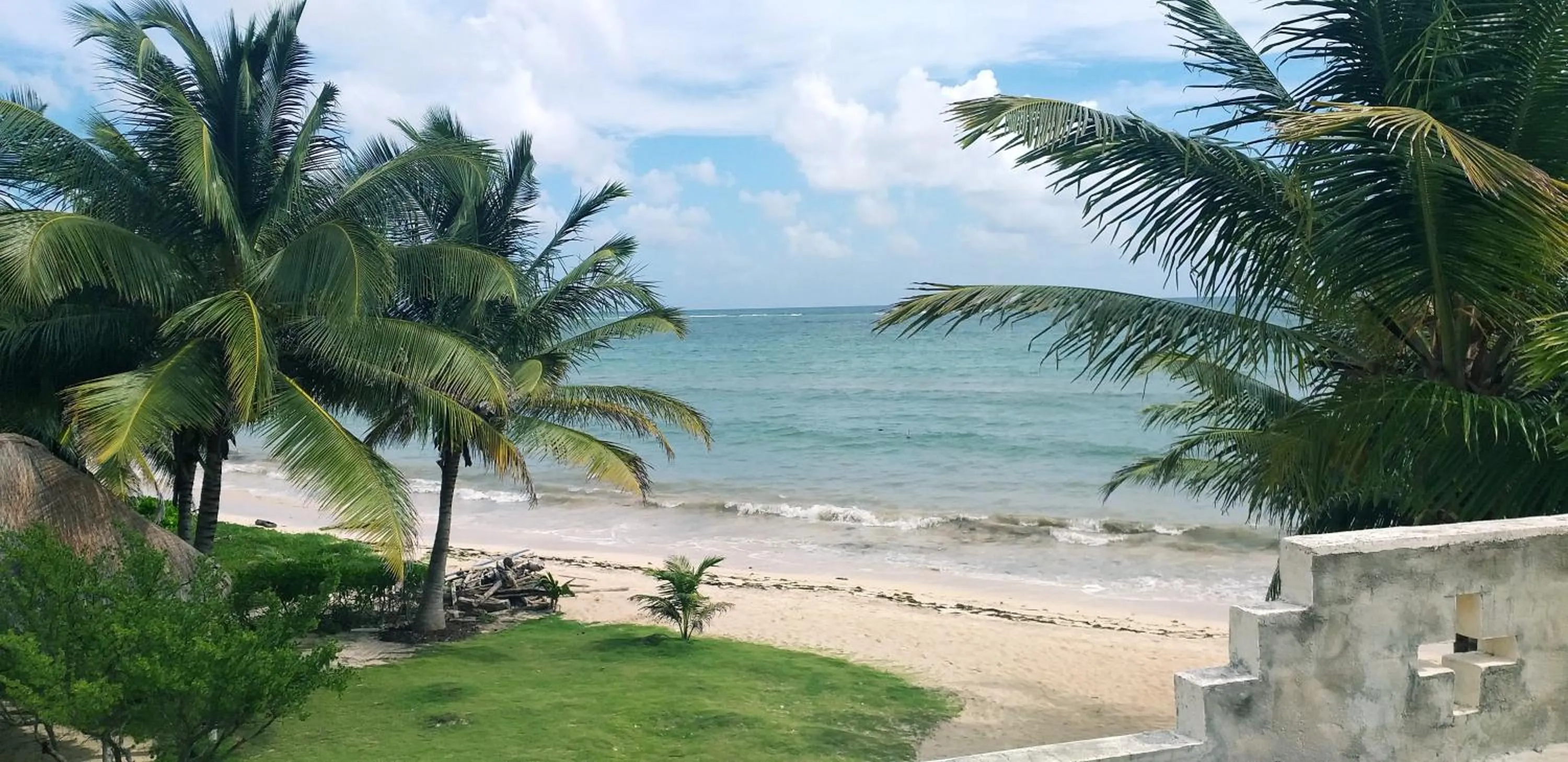 Natural landscape in Mayan Beach Garden