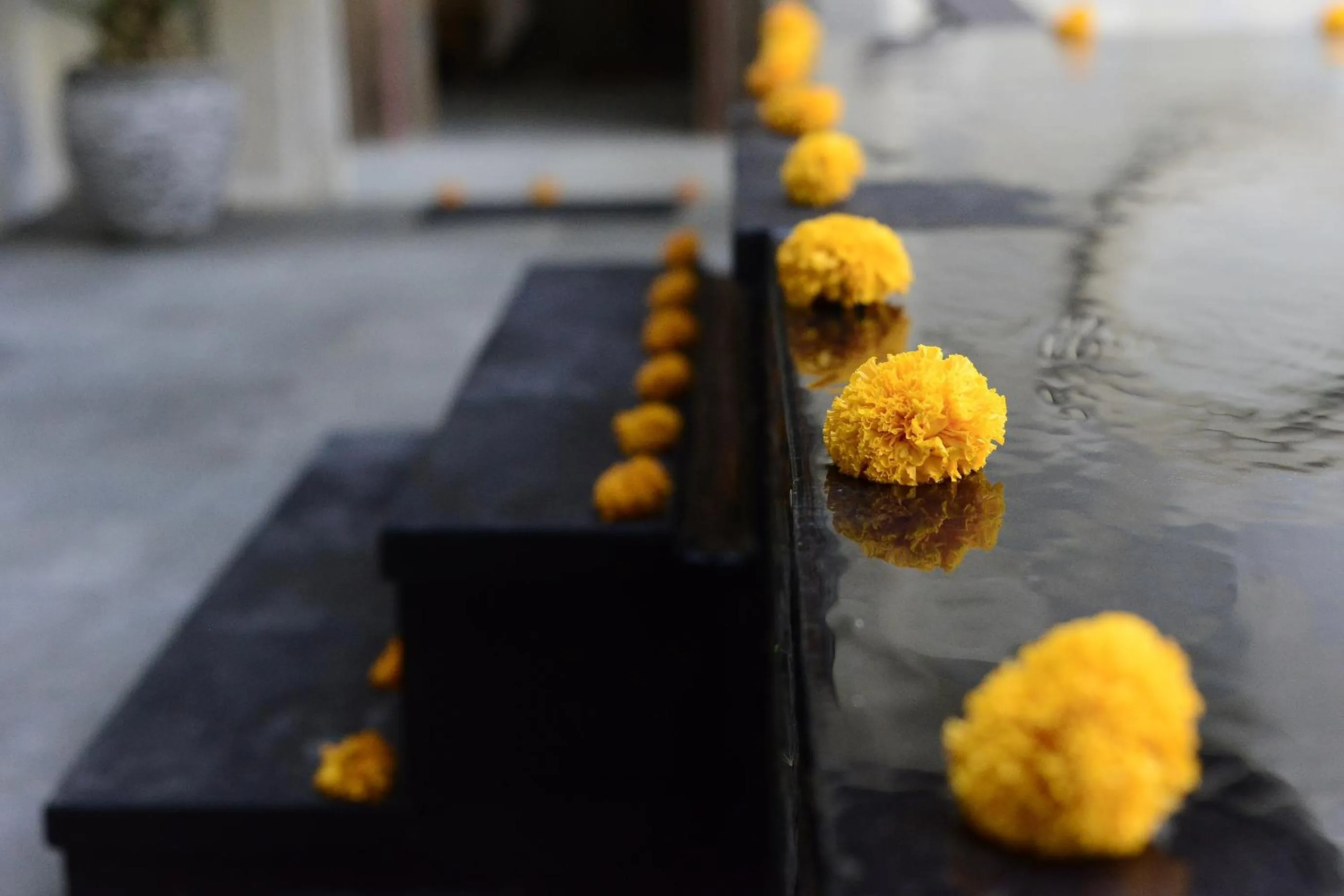 Area and facilities in Villa Kirani Ubud by Mahaputra