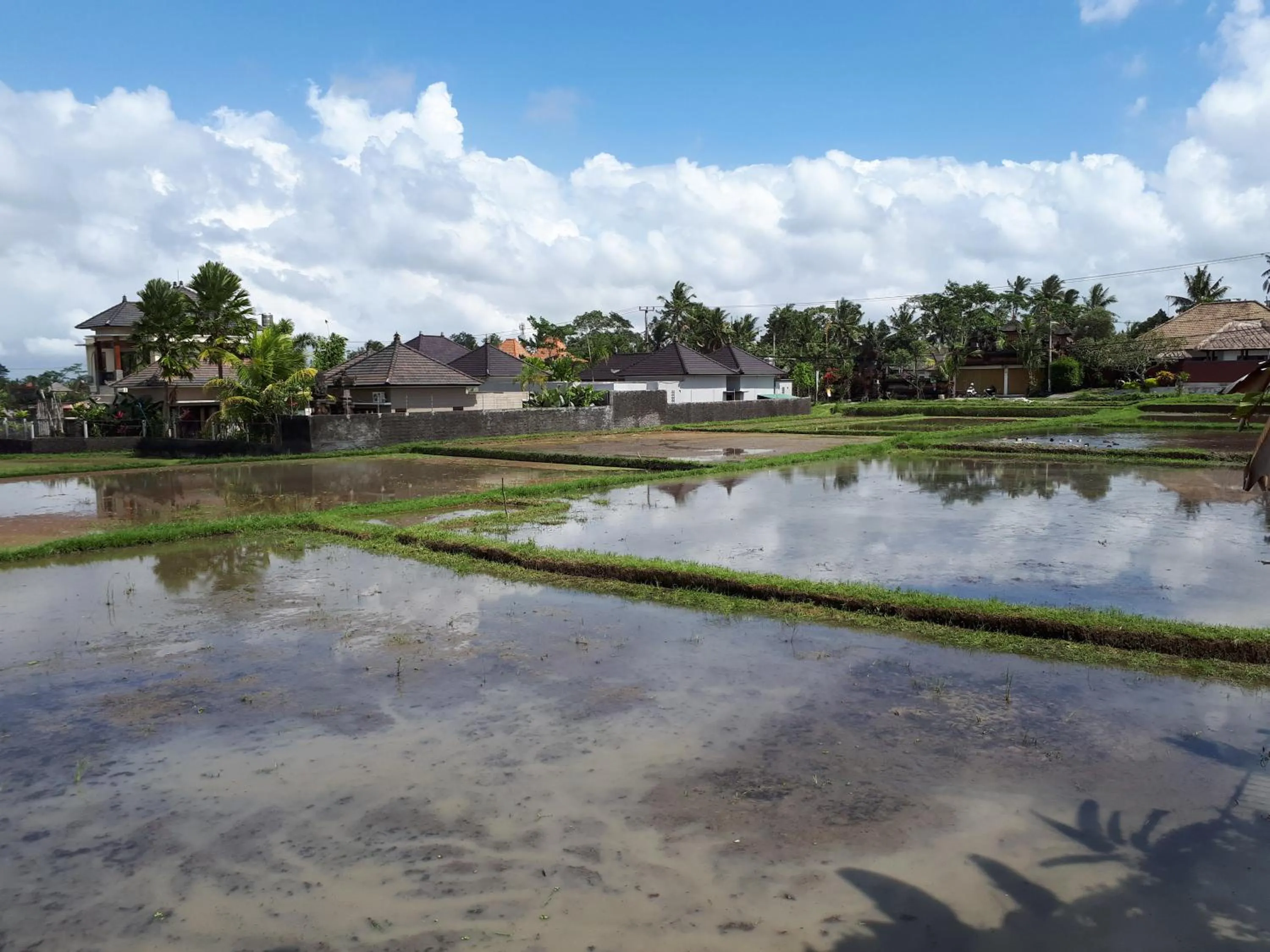 Garden view in Villa Kirani Ubud by Mahaputra