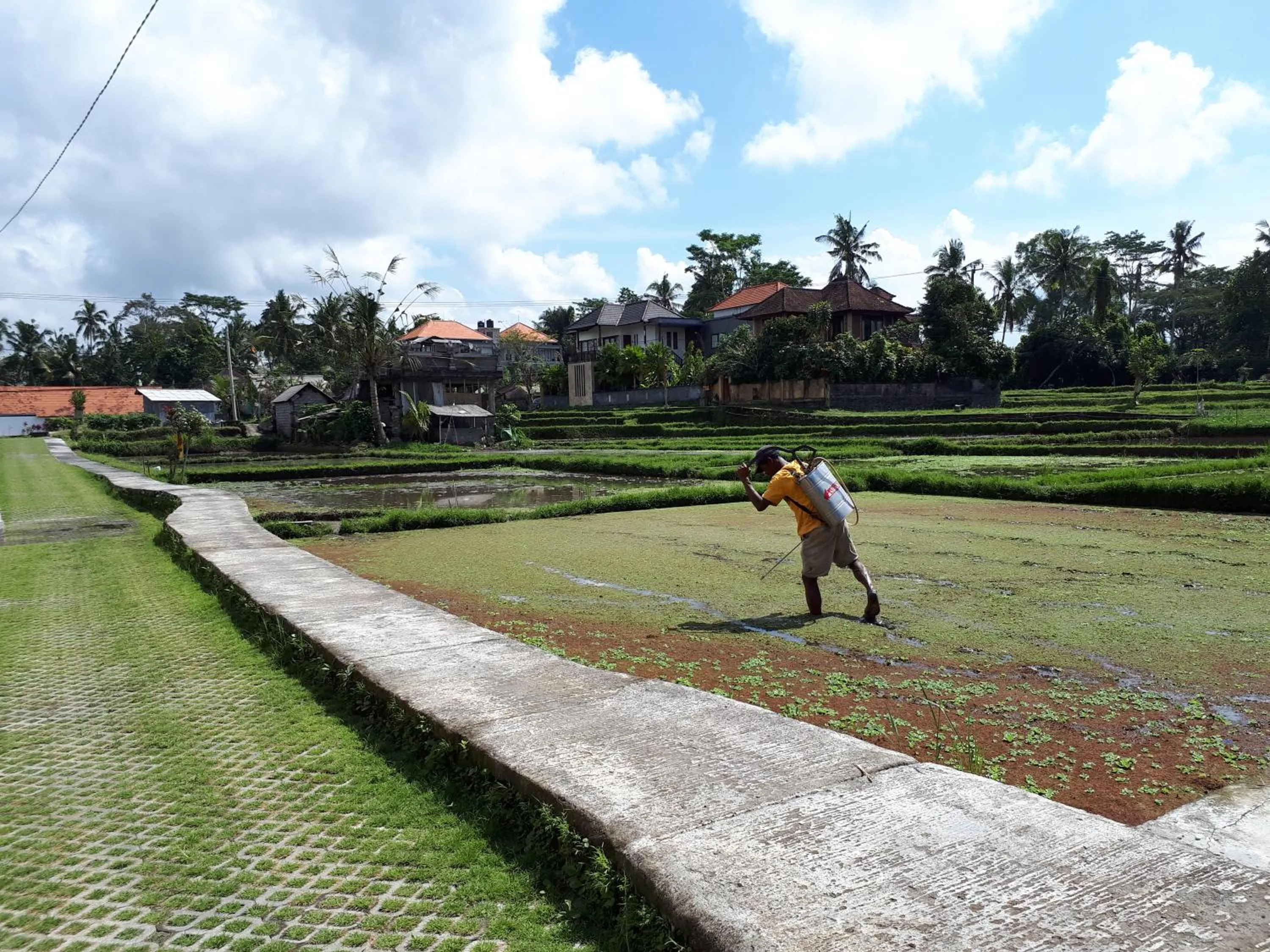 Garden view in Villa Kirani Ubud by Mahaputra