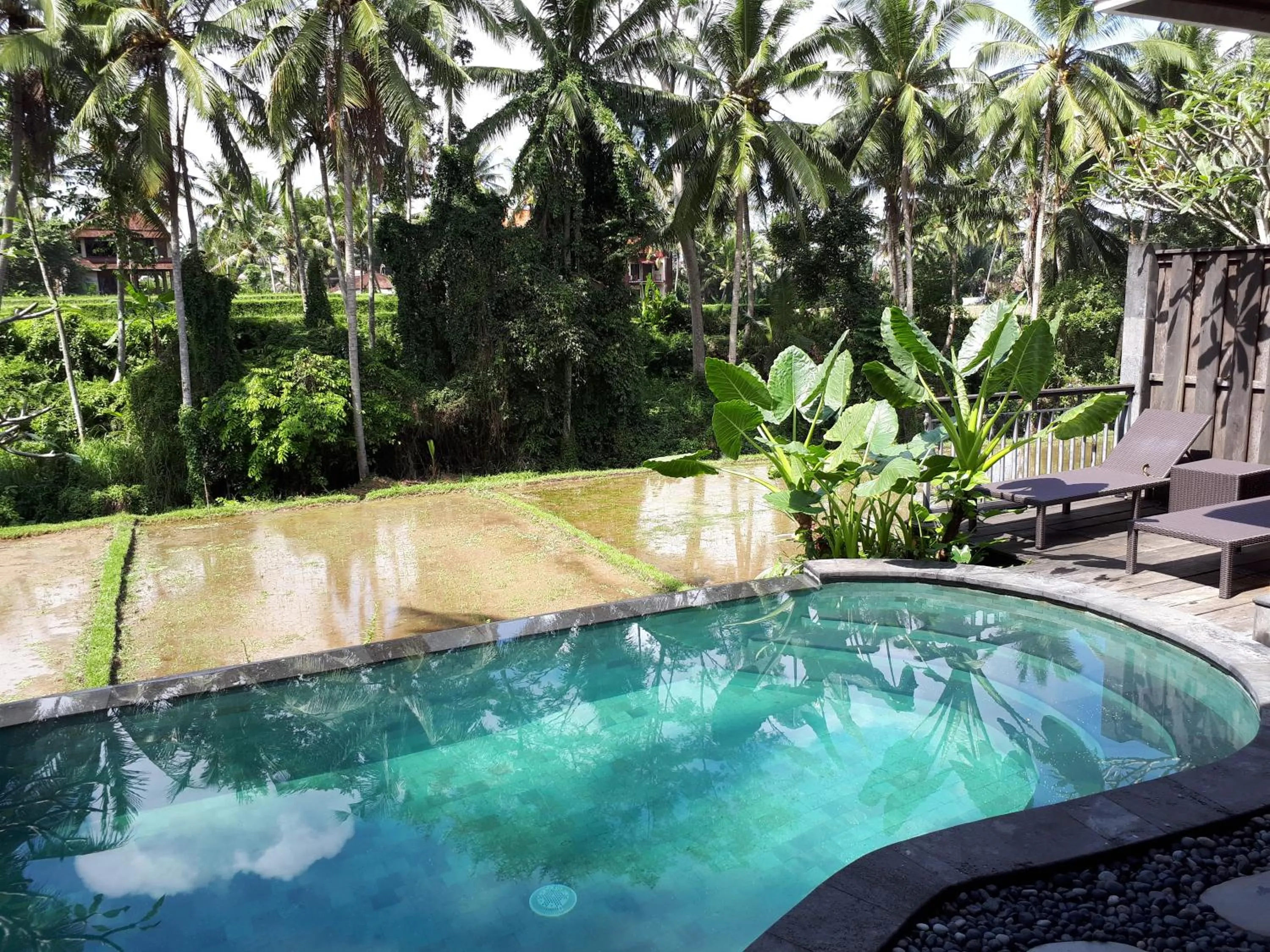 Swimming pool in Villa Kirani Ubud by Mahaputra