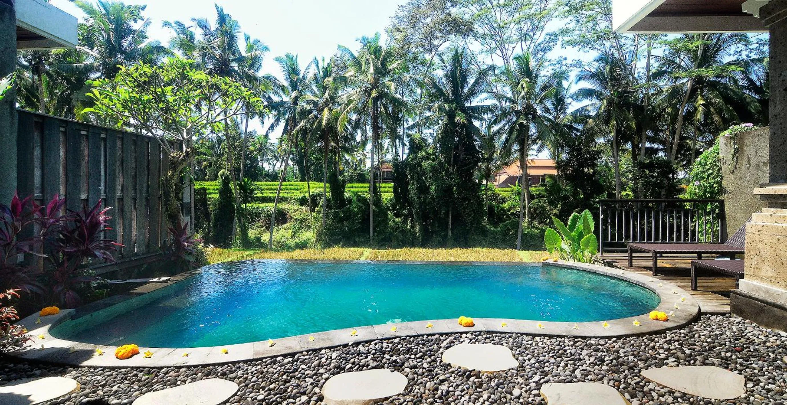 Swimming pool in Villa Kirani Ubud by Mahaputra