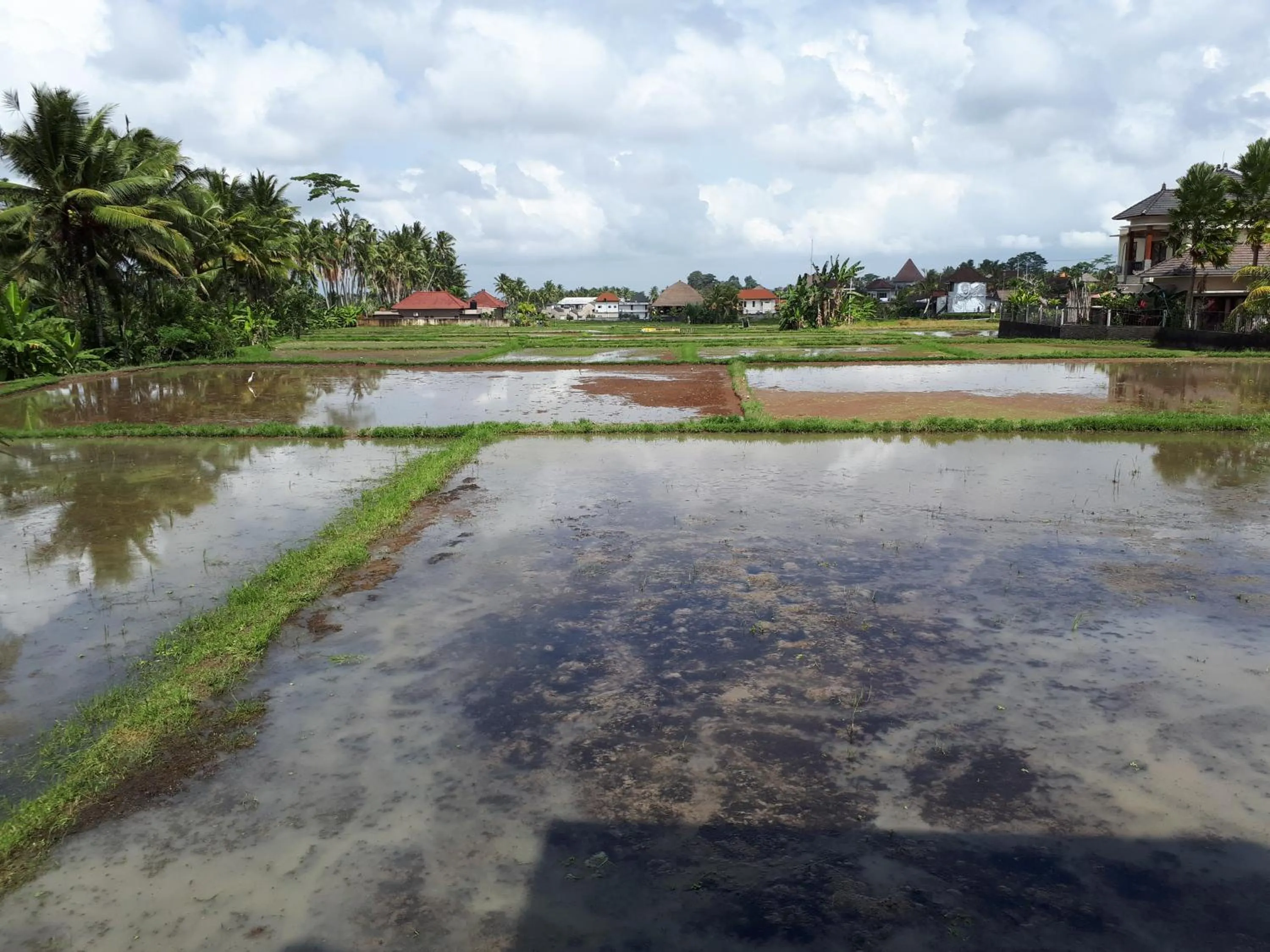 Garden view in Villa Kirani Ubud by Mahaputra