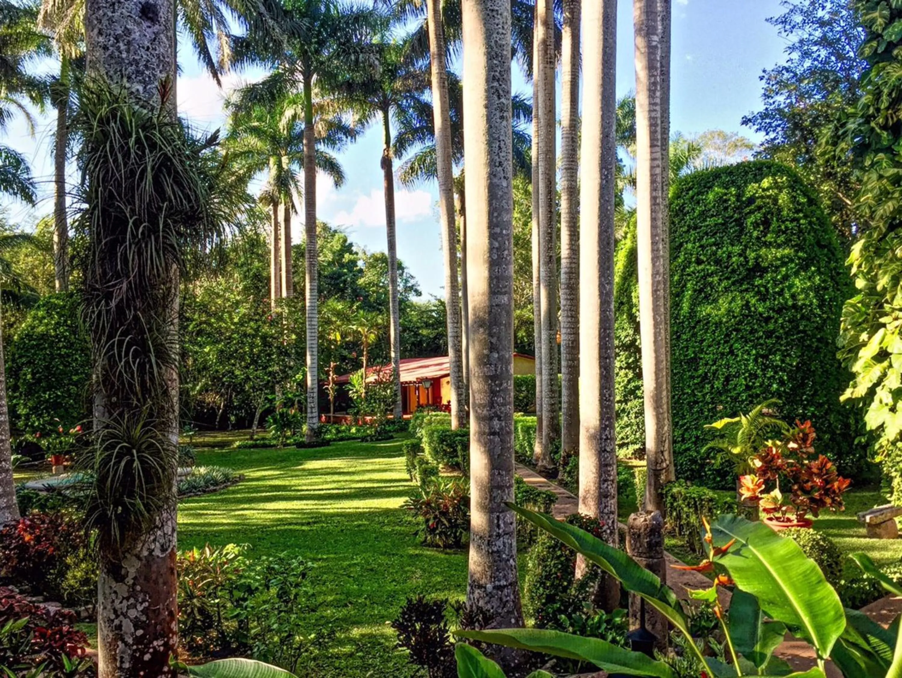 Natural landscape in Hacienda Chichen Resort and Yaxkin Spa