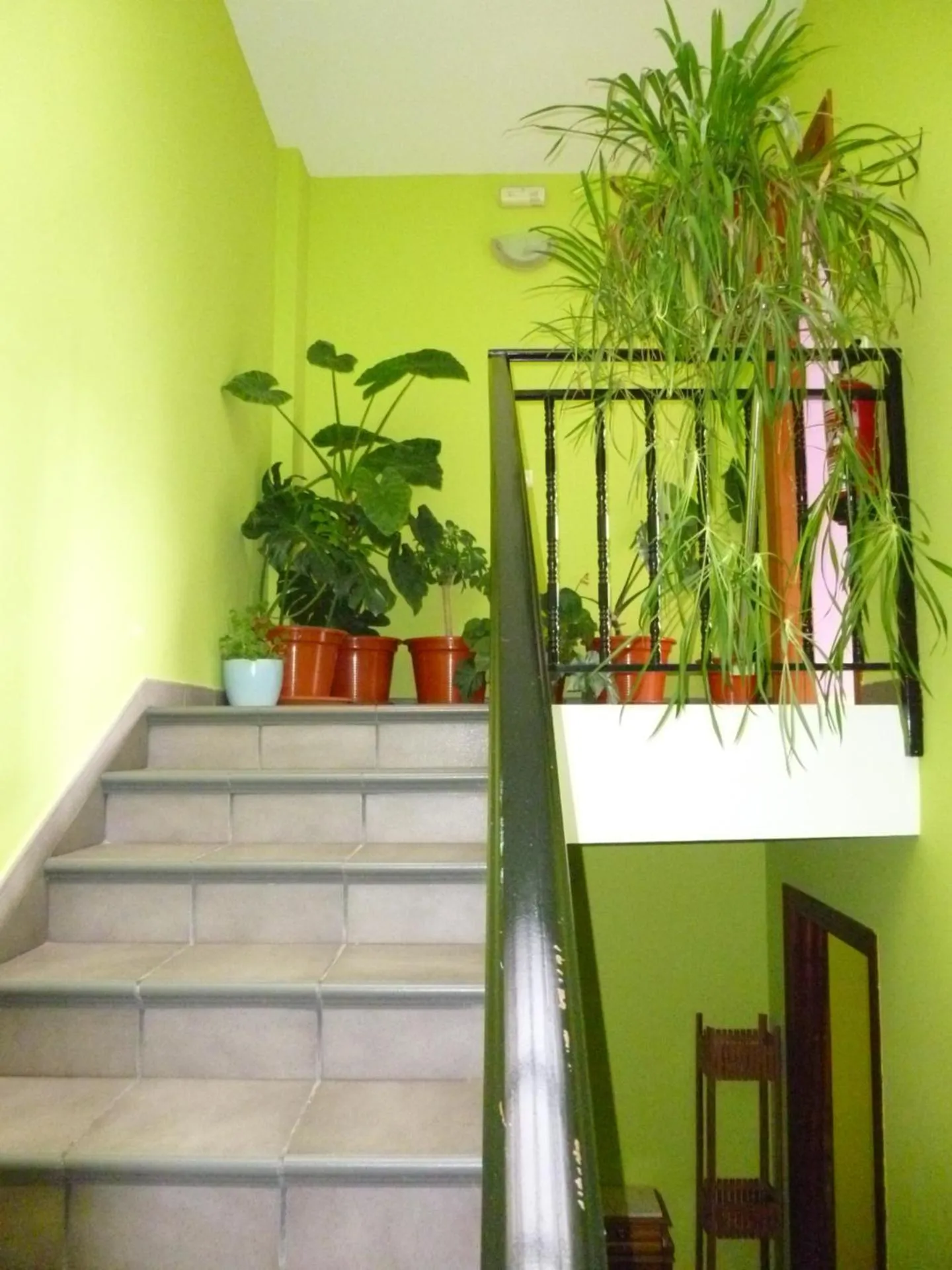 Area and facilities in Hostal Ciudad de Nájera