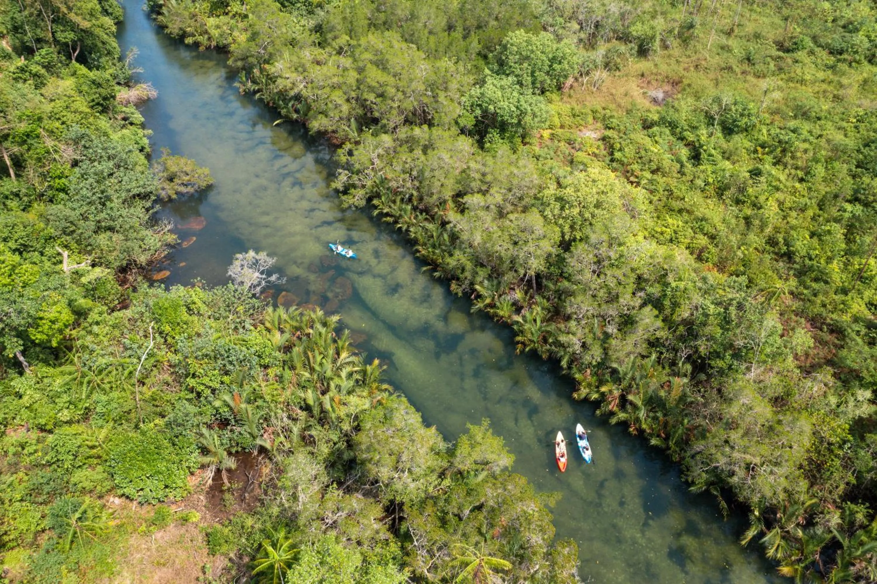 Activities in Mafiya Resort