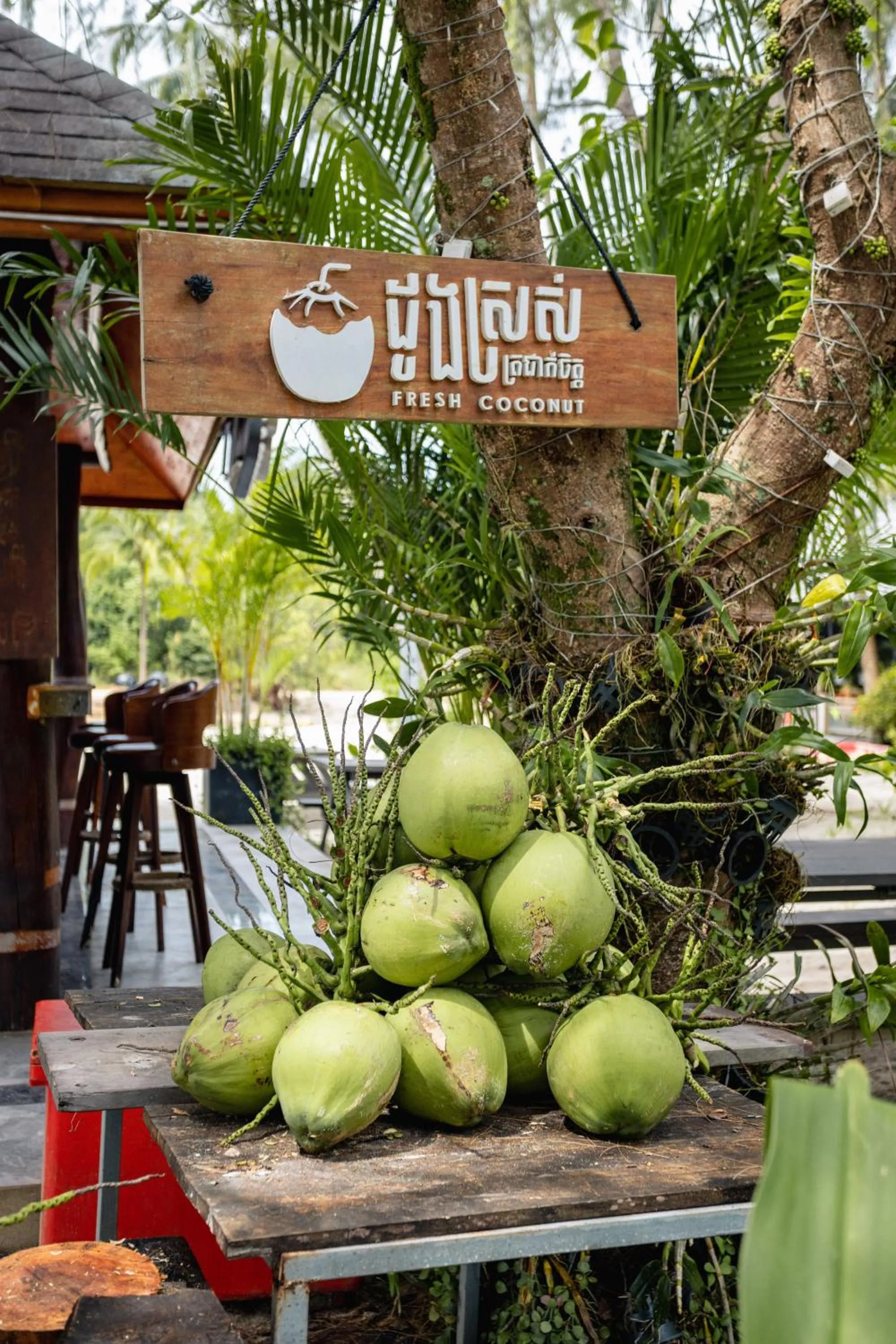 Lounge or bar in Mafiya Resort