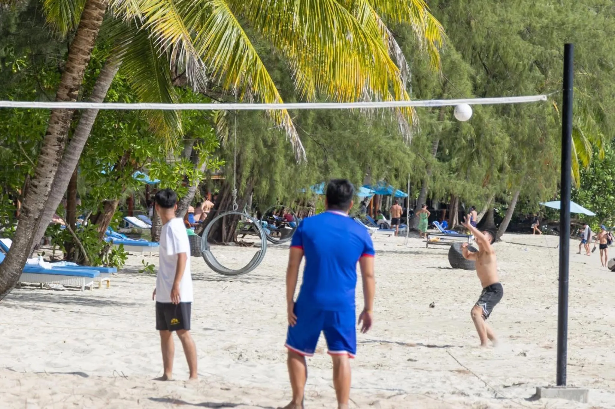 Beach in Mafiya Resort