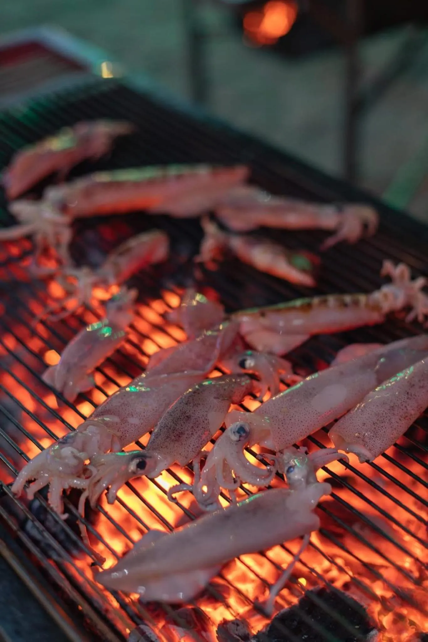 BBQ facilities in Mafiya Resort