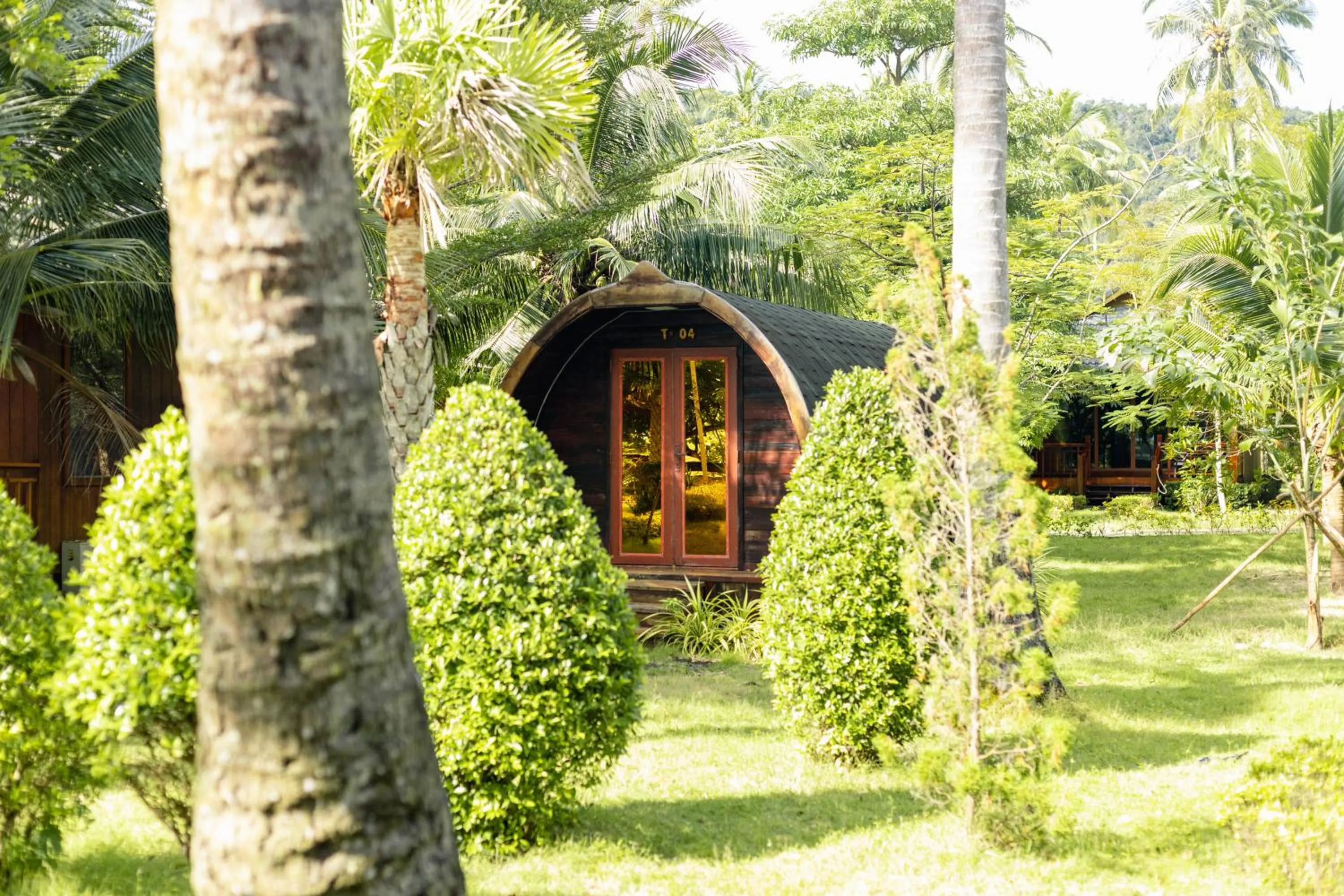 Garden view in Mafiya Resort