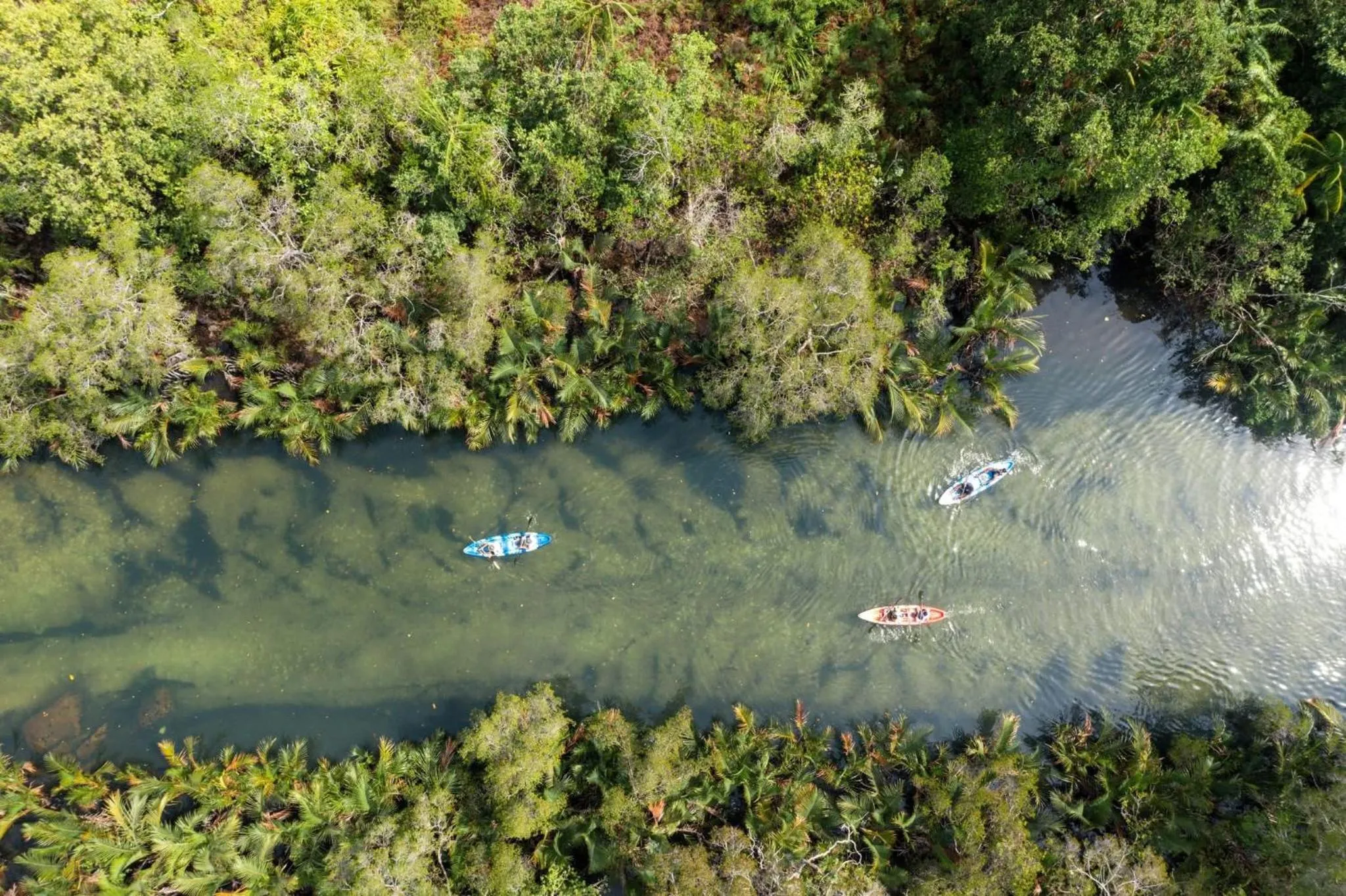 Activities in Mafiya Resort