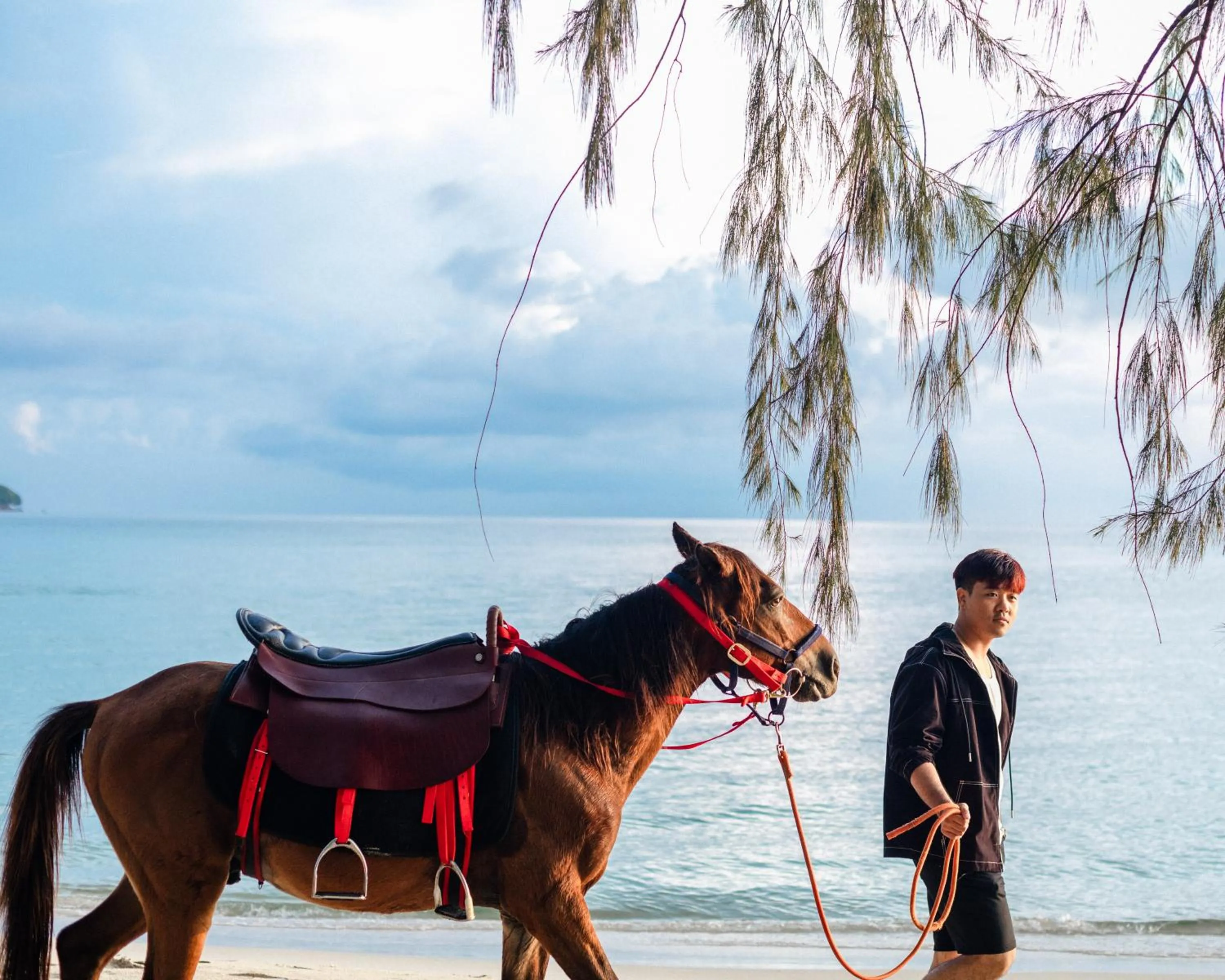 Horse-riding in Mafiya Resort