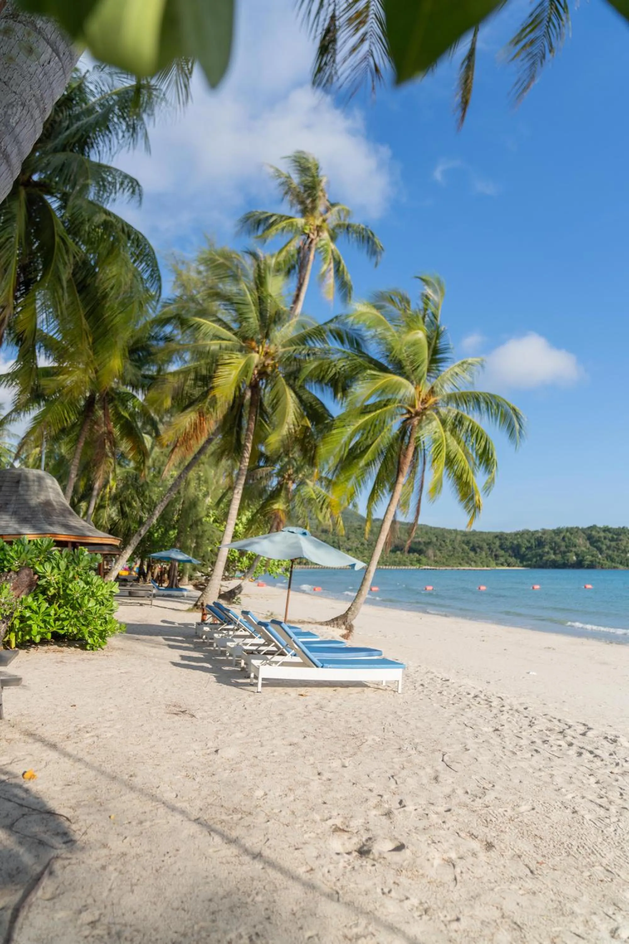 Area and facilities in Mafiya Resort