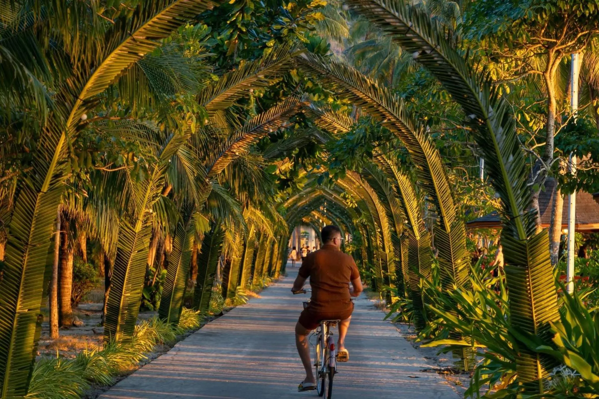 Cycling in Mafiya Resort