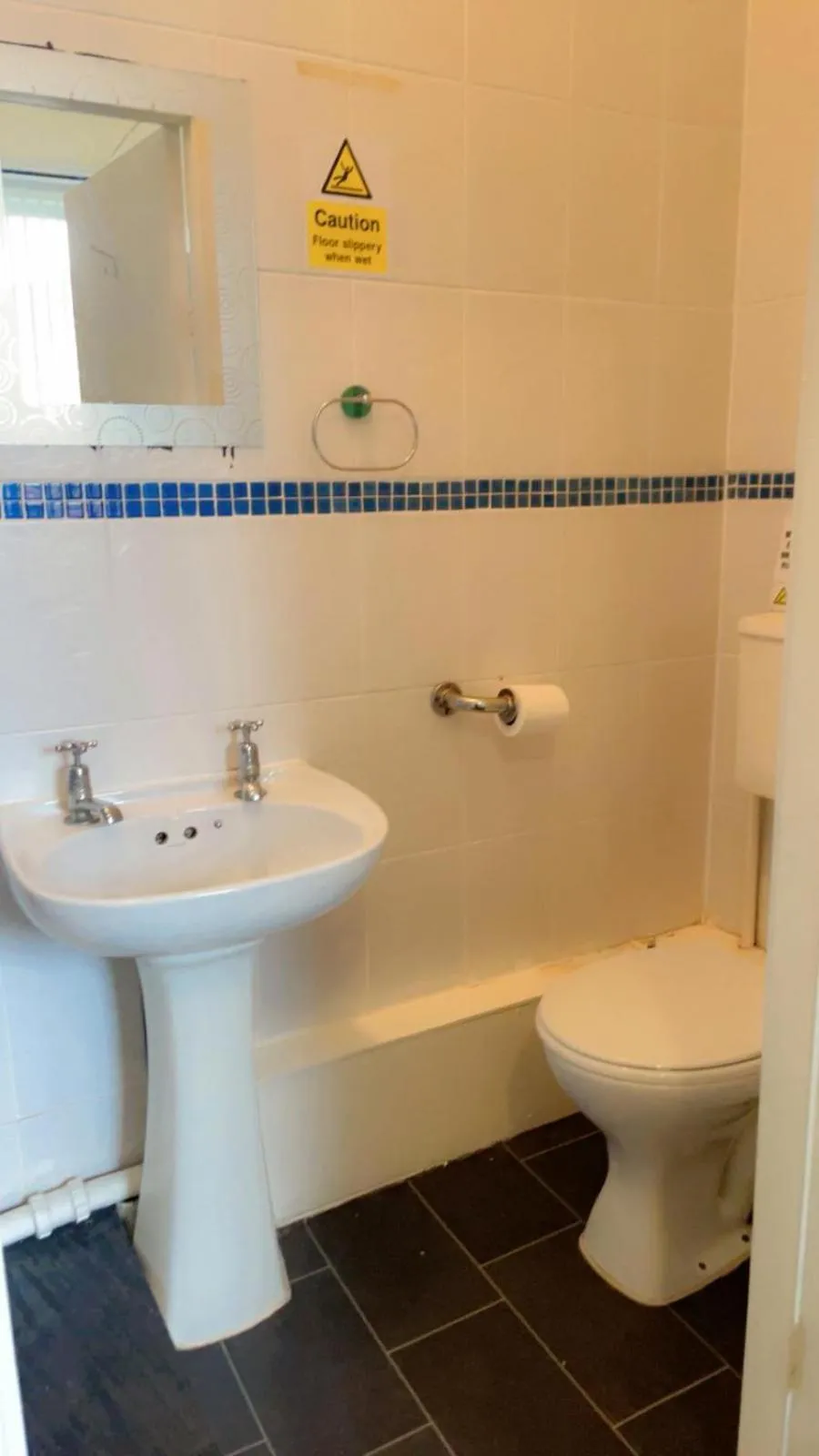 Toilet in Fern Villa Hotel - Albert Road