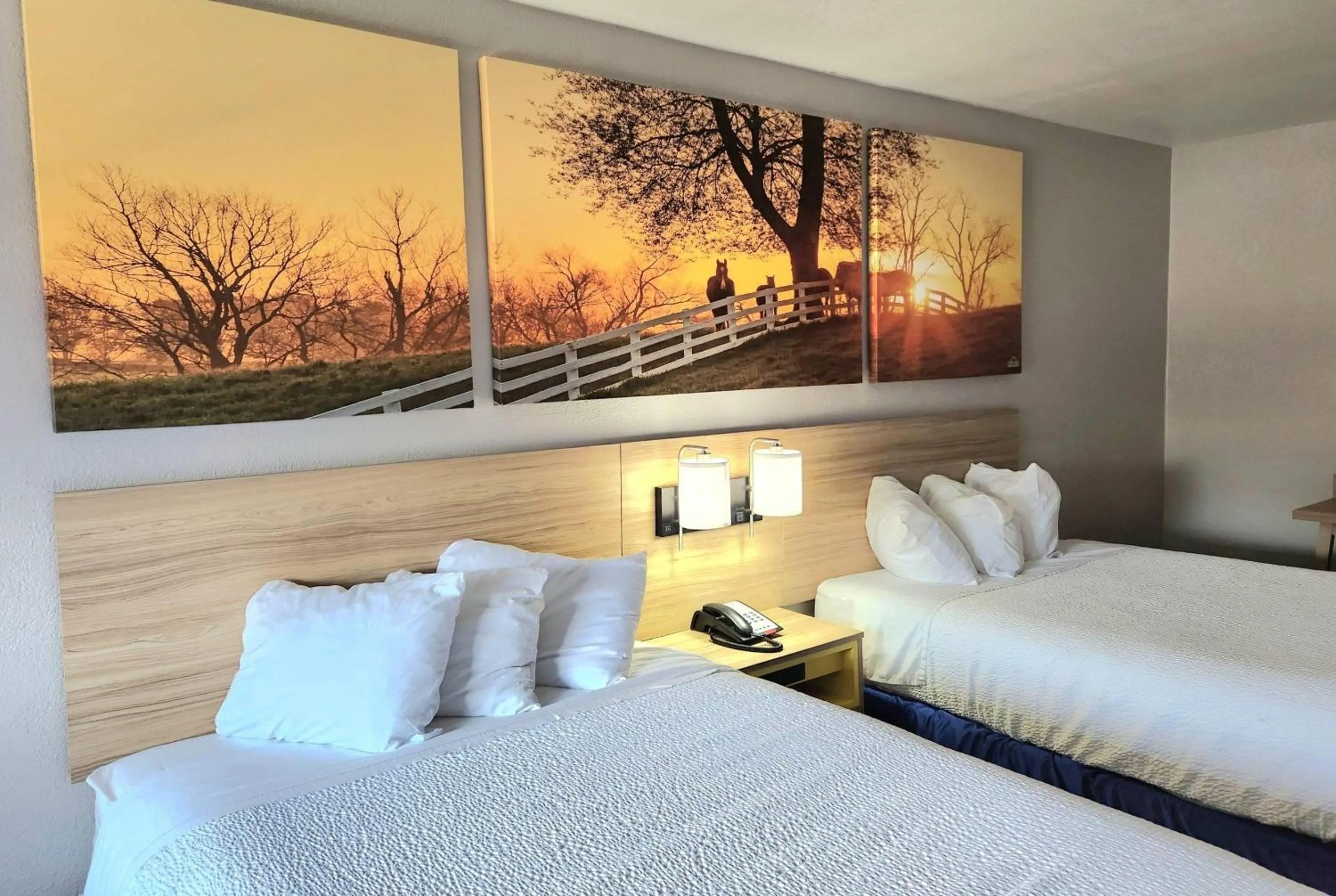 Photo of the whole room, Bed in Days Inn by Wyndham Houston