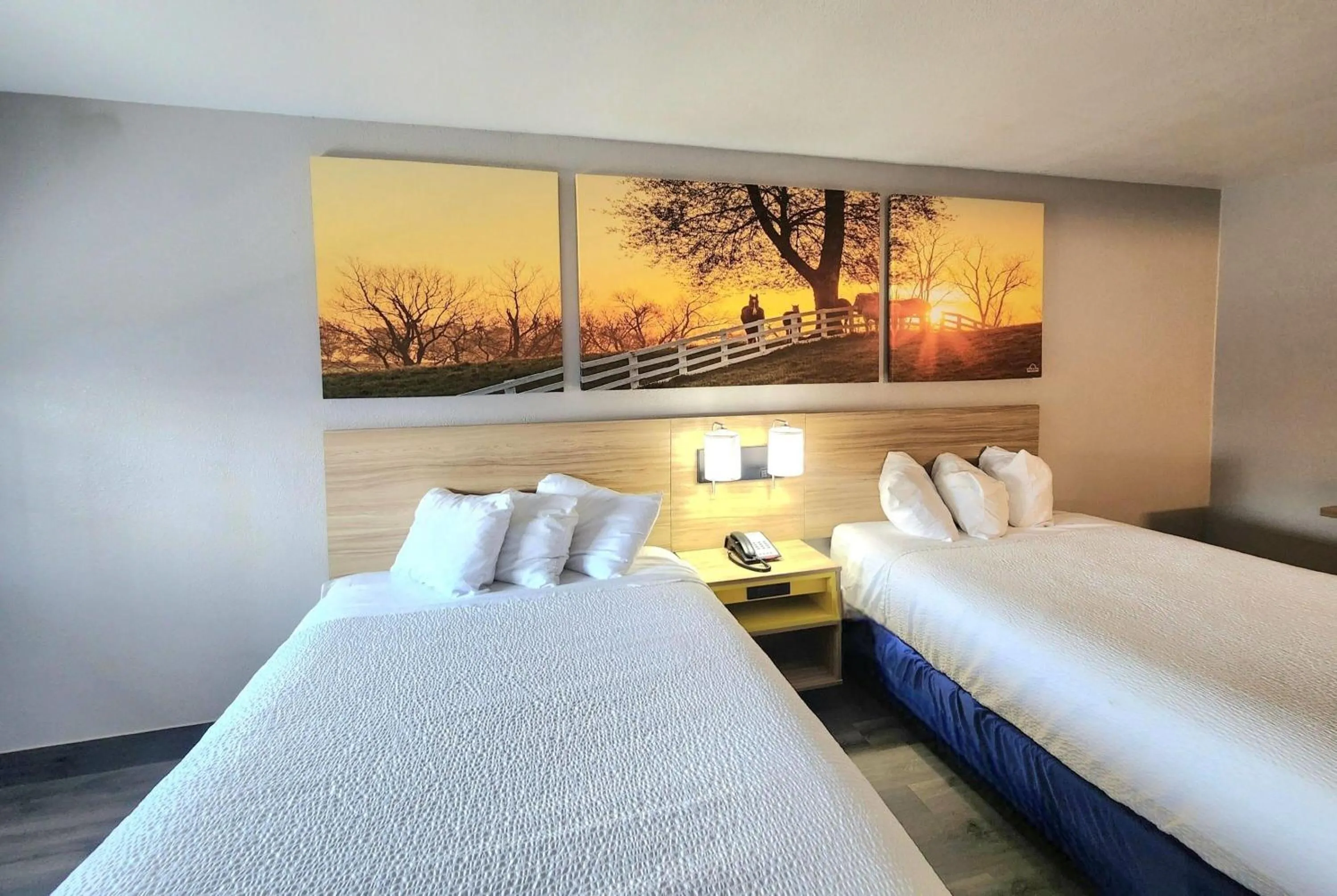 Photo of the whole room, Bed in Days Inn by Wyndham Houston
