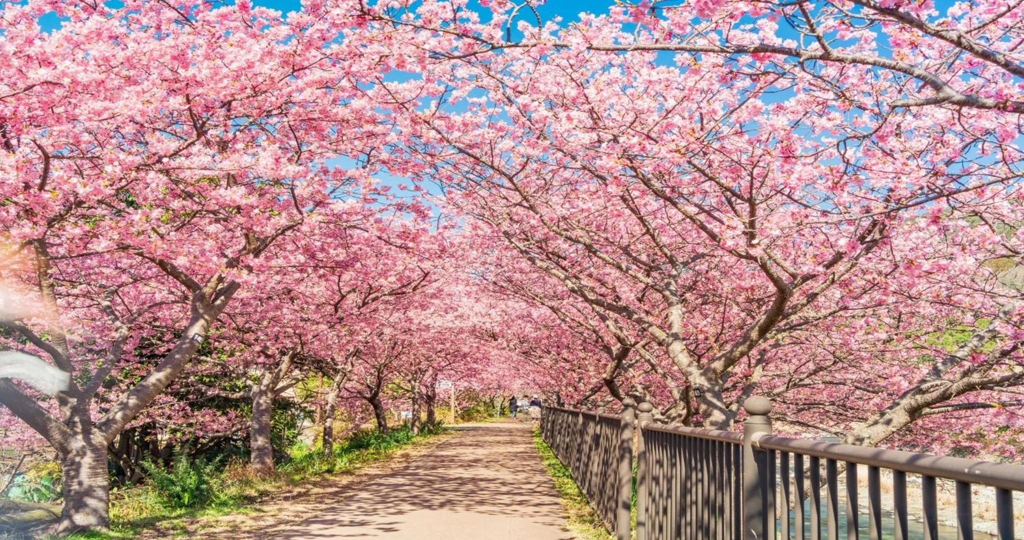 Nearby landmark in KAMENOI HOTEL Atami