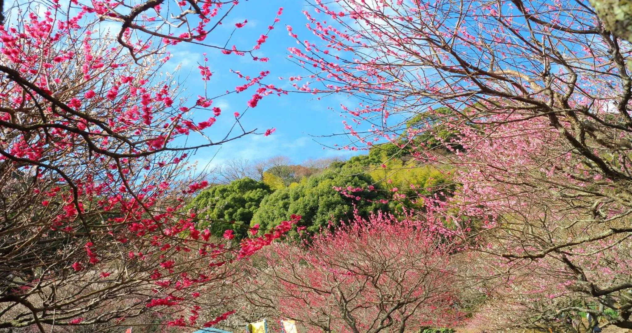 Nearby landmark in KAMENOI HOTEL Atami