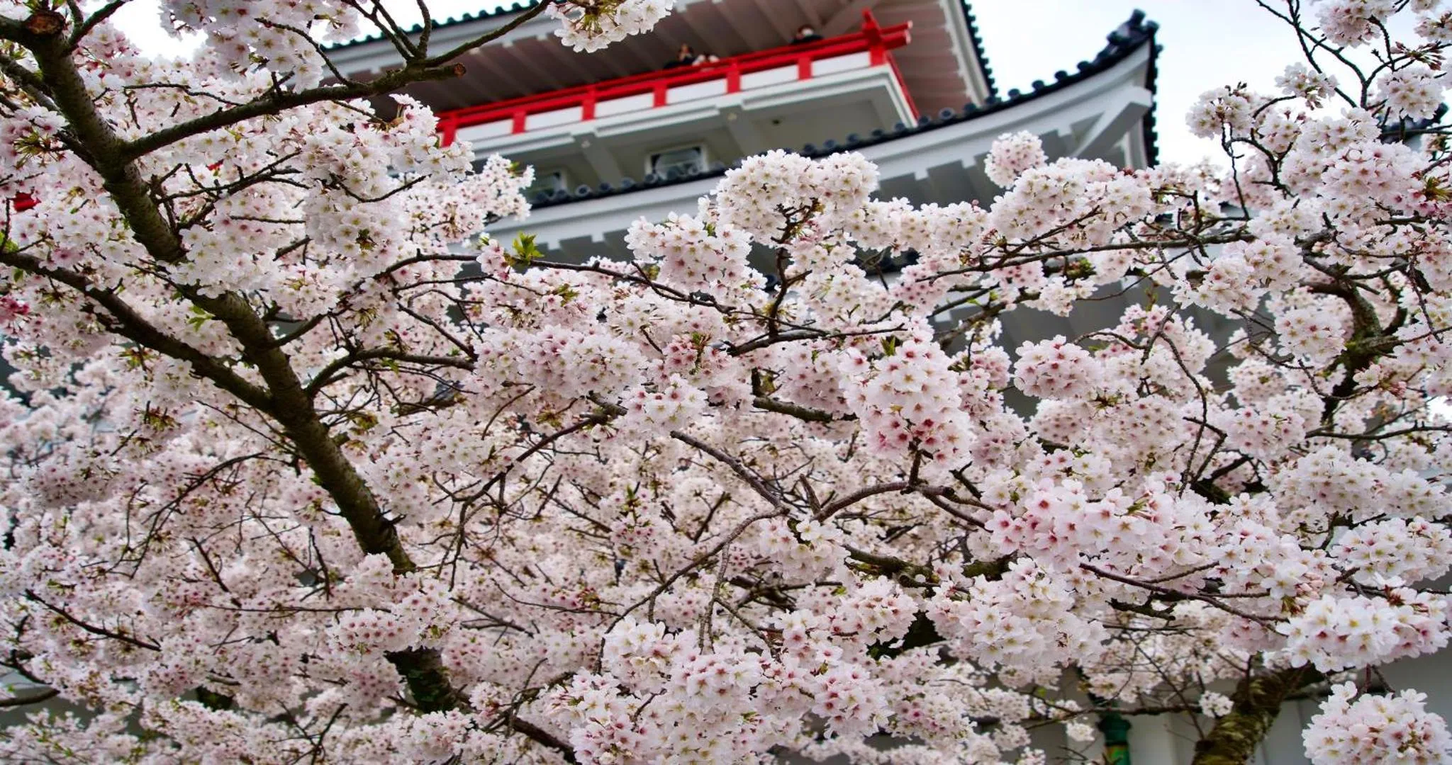 Nearby landmark in KAMENOI HOTEL Atami