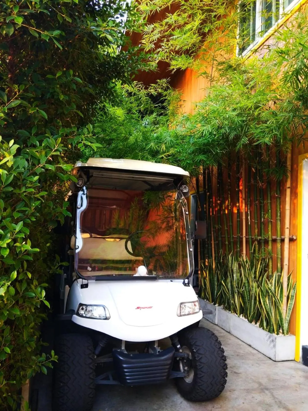 Other in Resort V - MRT Huai Khwang