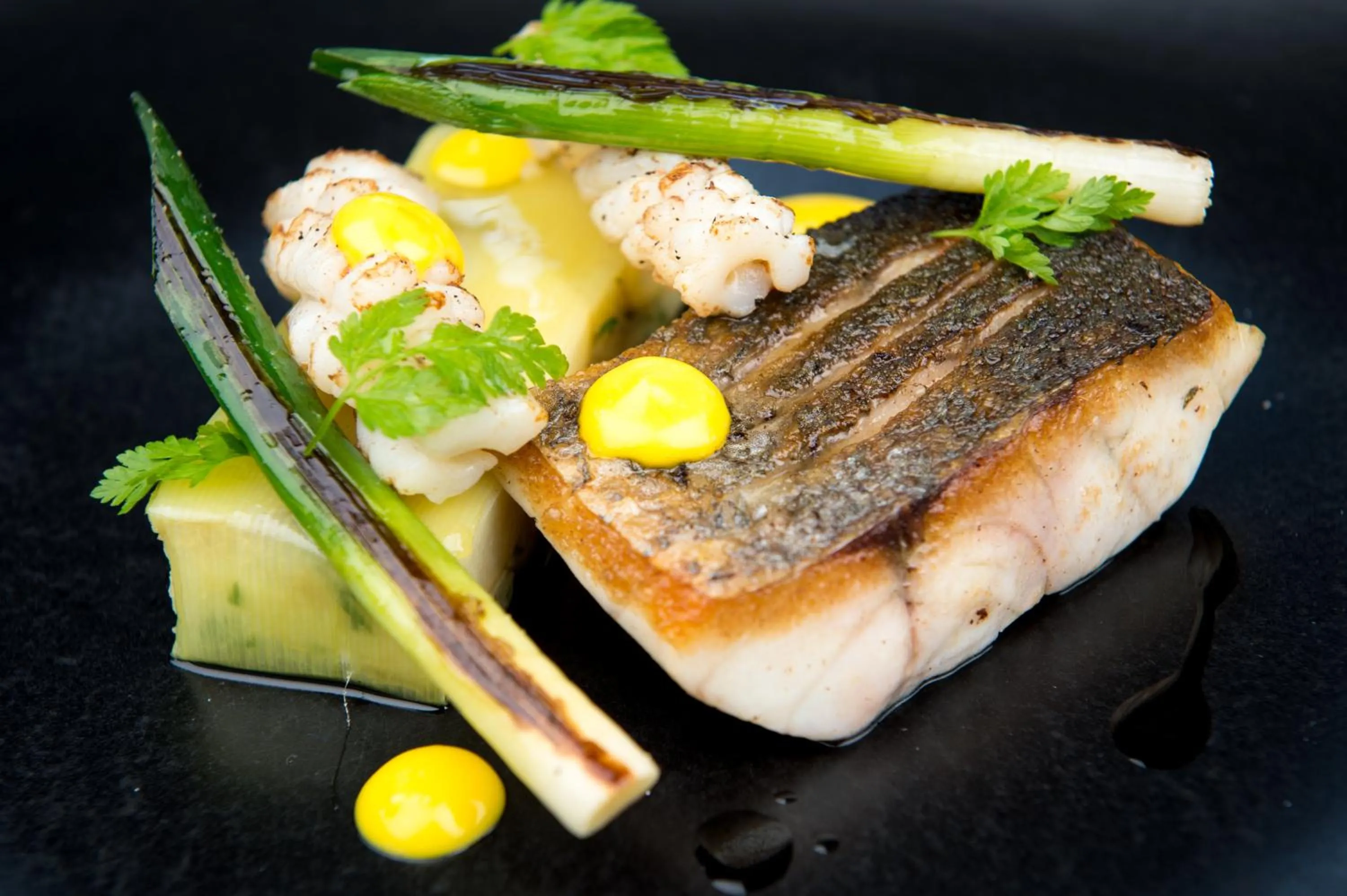 Food close-up in Lion & Pheasant Hotel