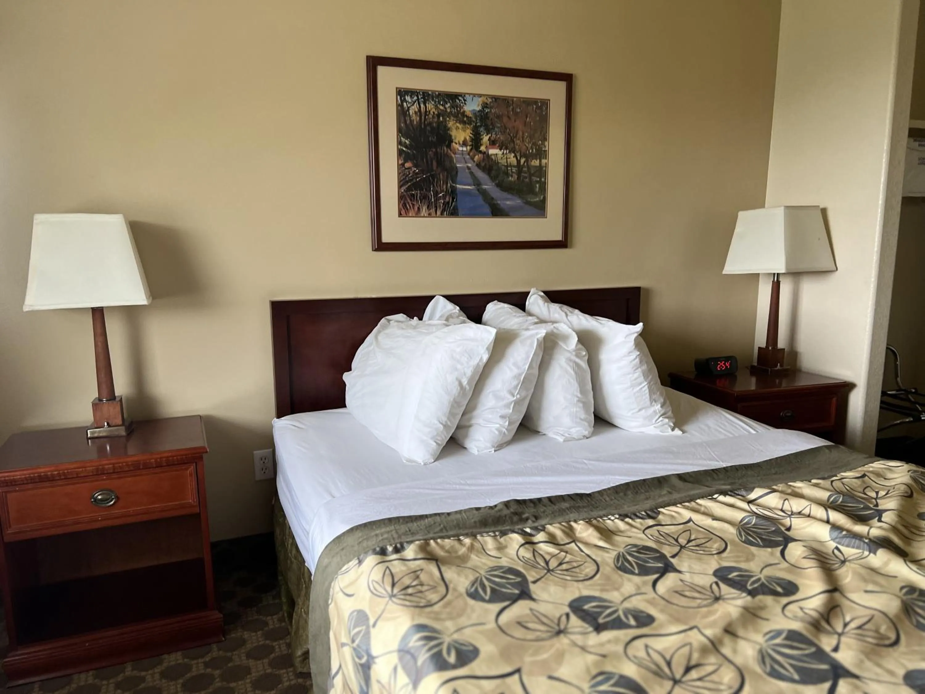 Bed in Travelodge by Wyndham Drumheller AB