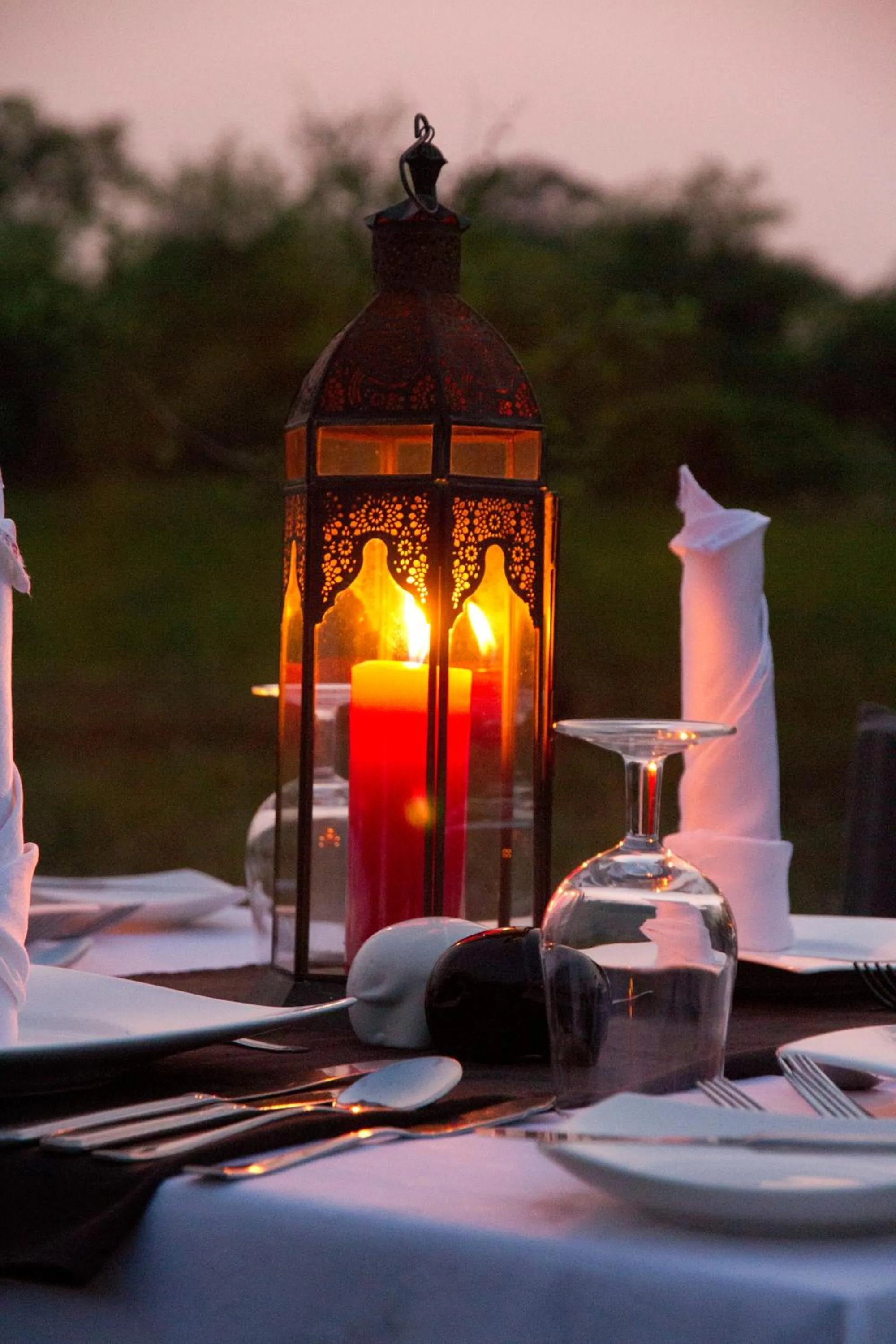 Dining area in Mahoora Wilpattu - by Eco Team
