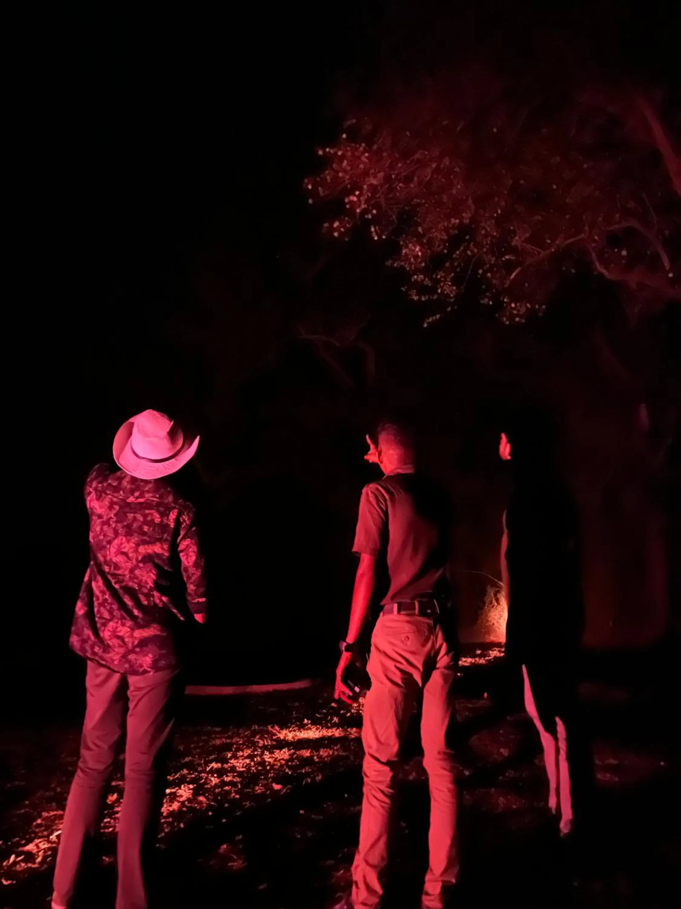 Night in Mahoora Wilpattu - by Eco Team