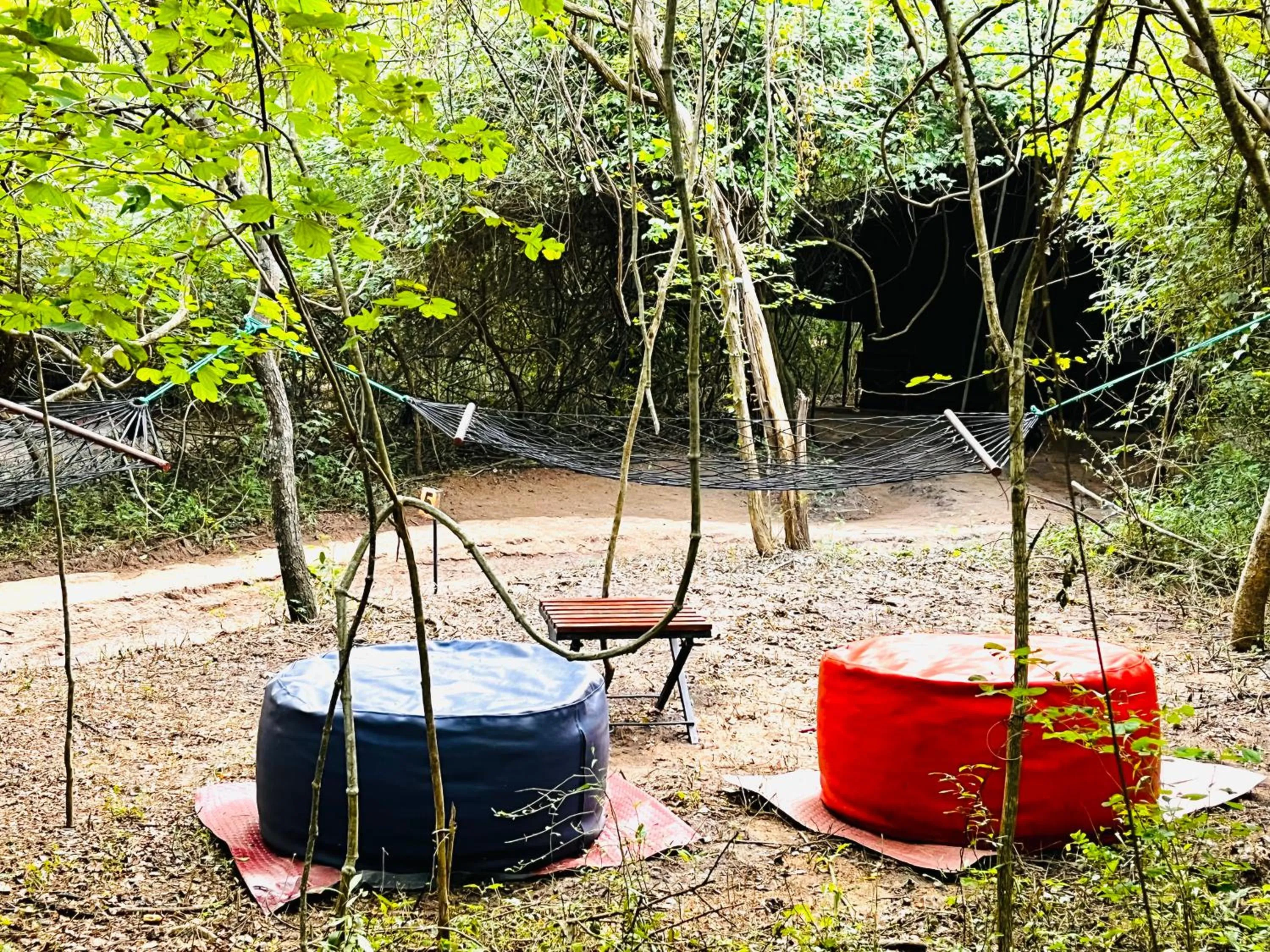 Day in Mahoora Wilpattu - by Eco Team