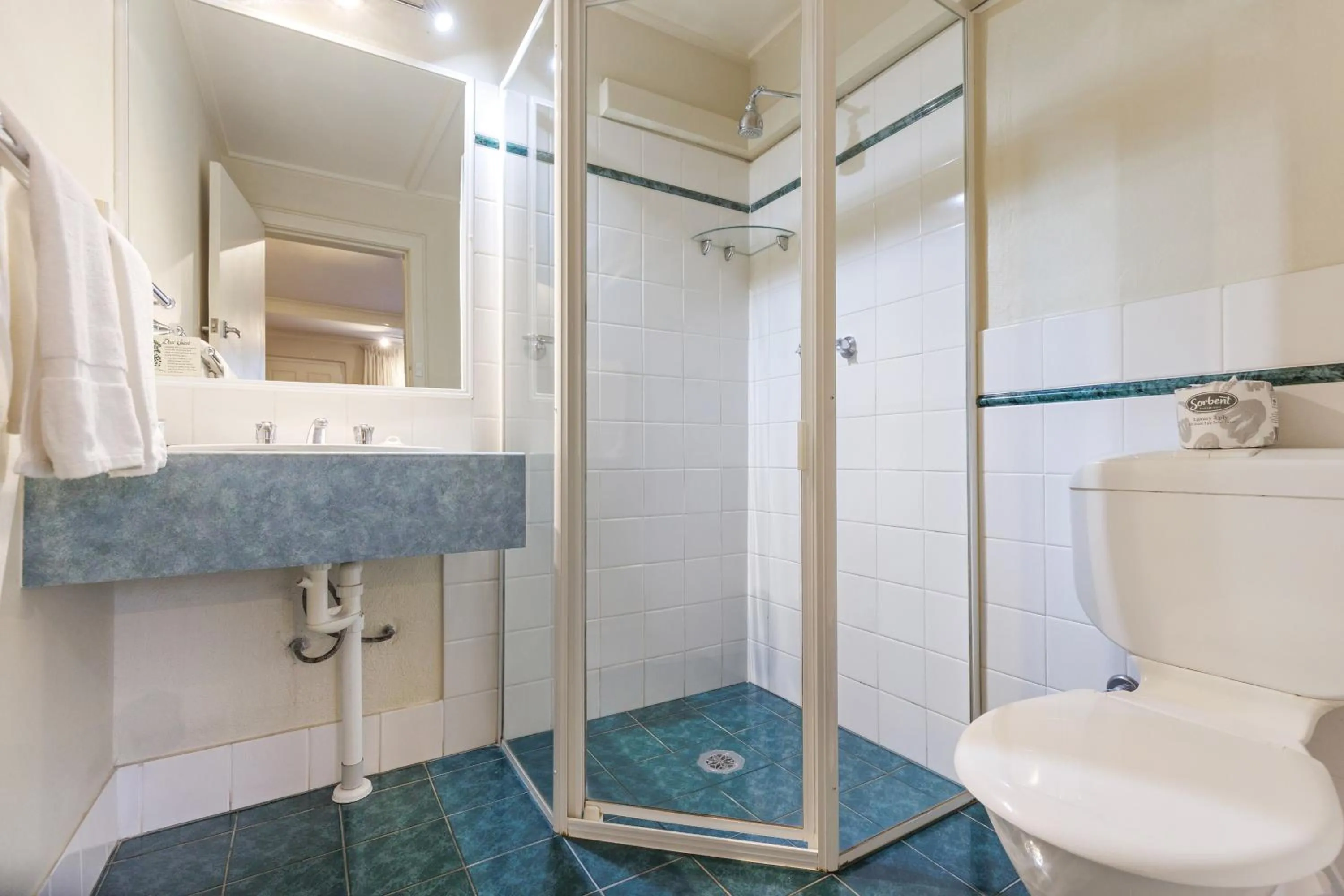 Shower in Amaroo Motel