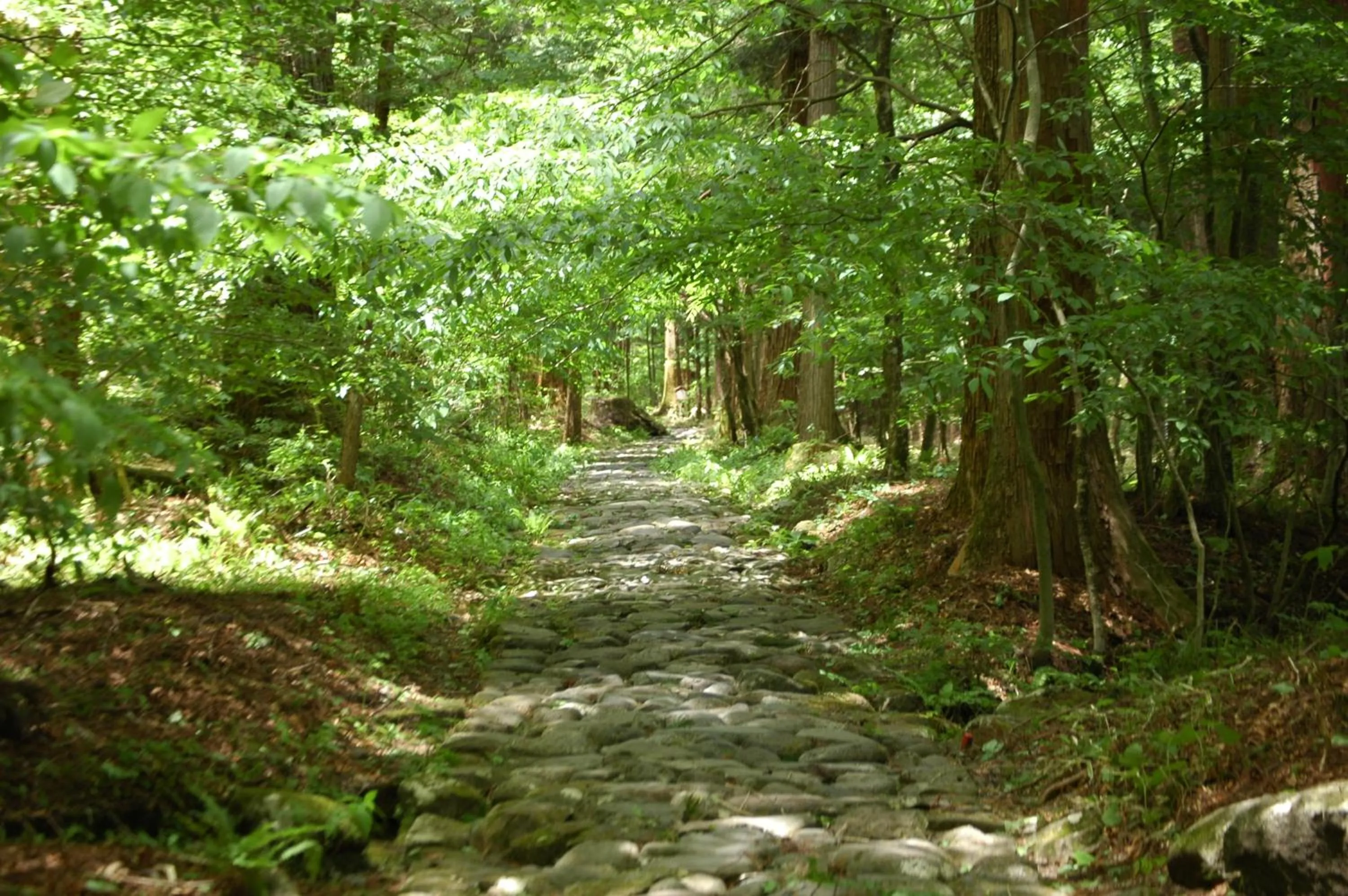 Other in Nikko Pension L'escale