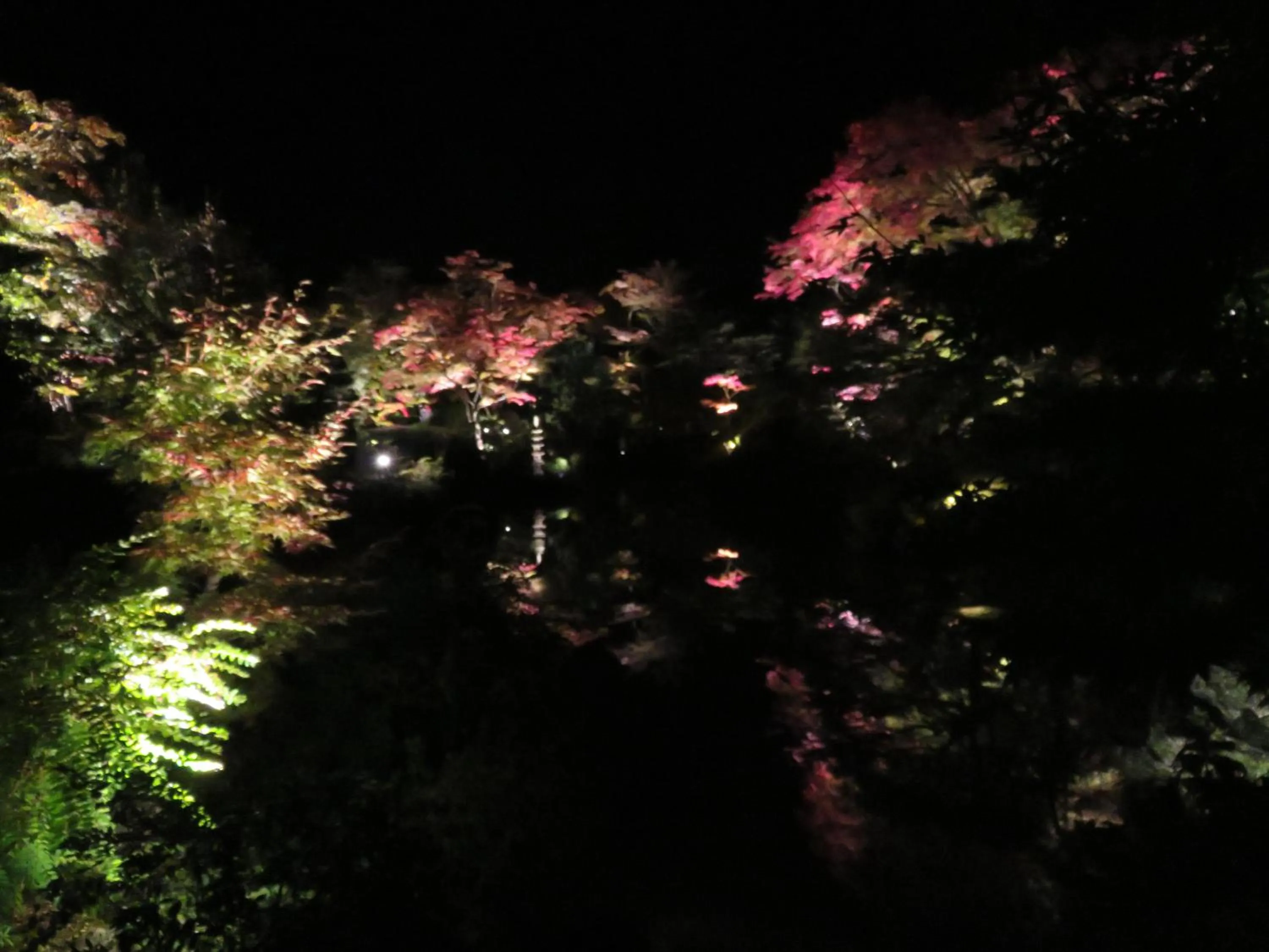 Autumn in Nikko Pension L'escale