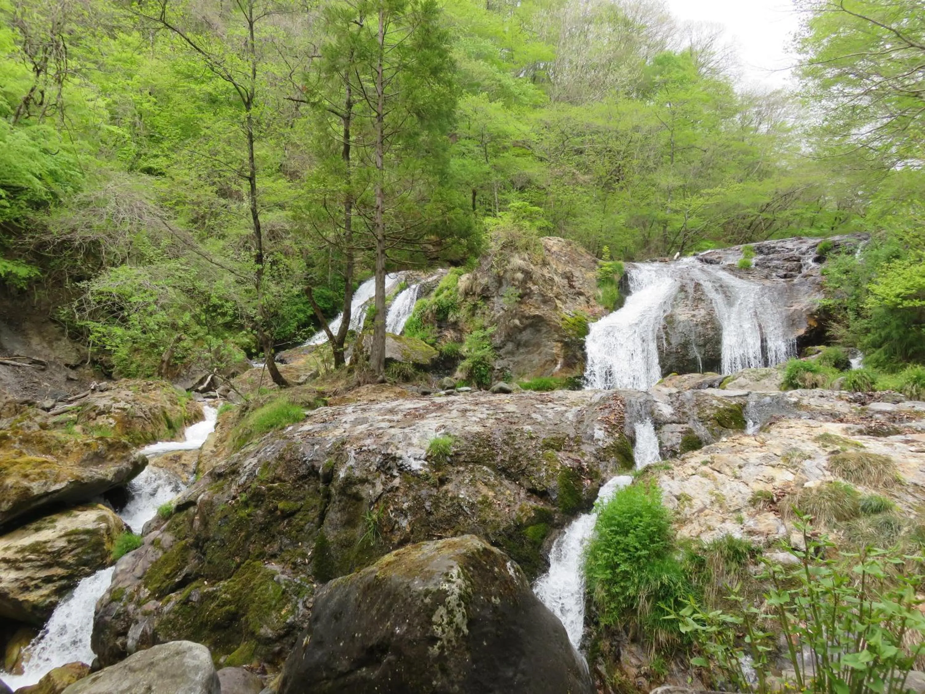 Summer in Nikko Pension L'escale