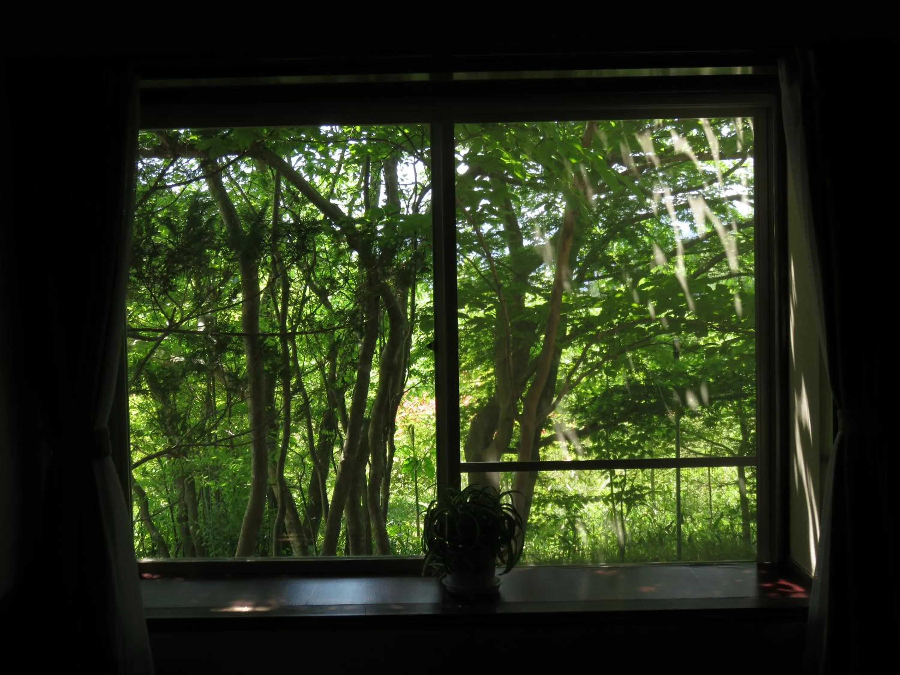 Garden view in Nikko Pension L'escale