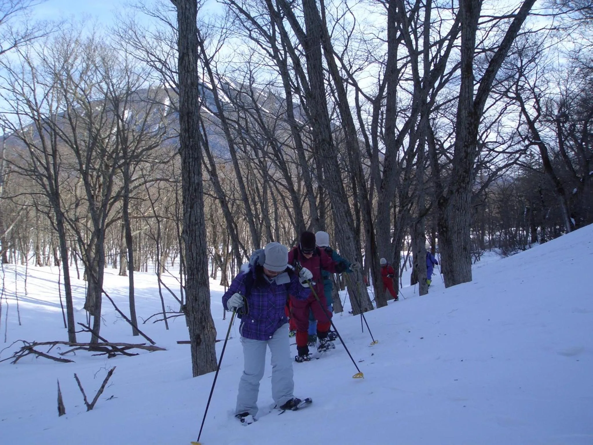 Sports in Nikko Pension L'escale