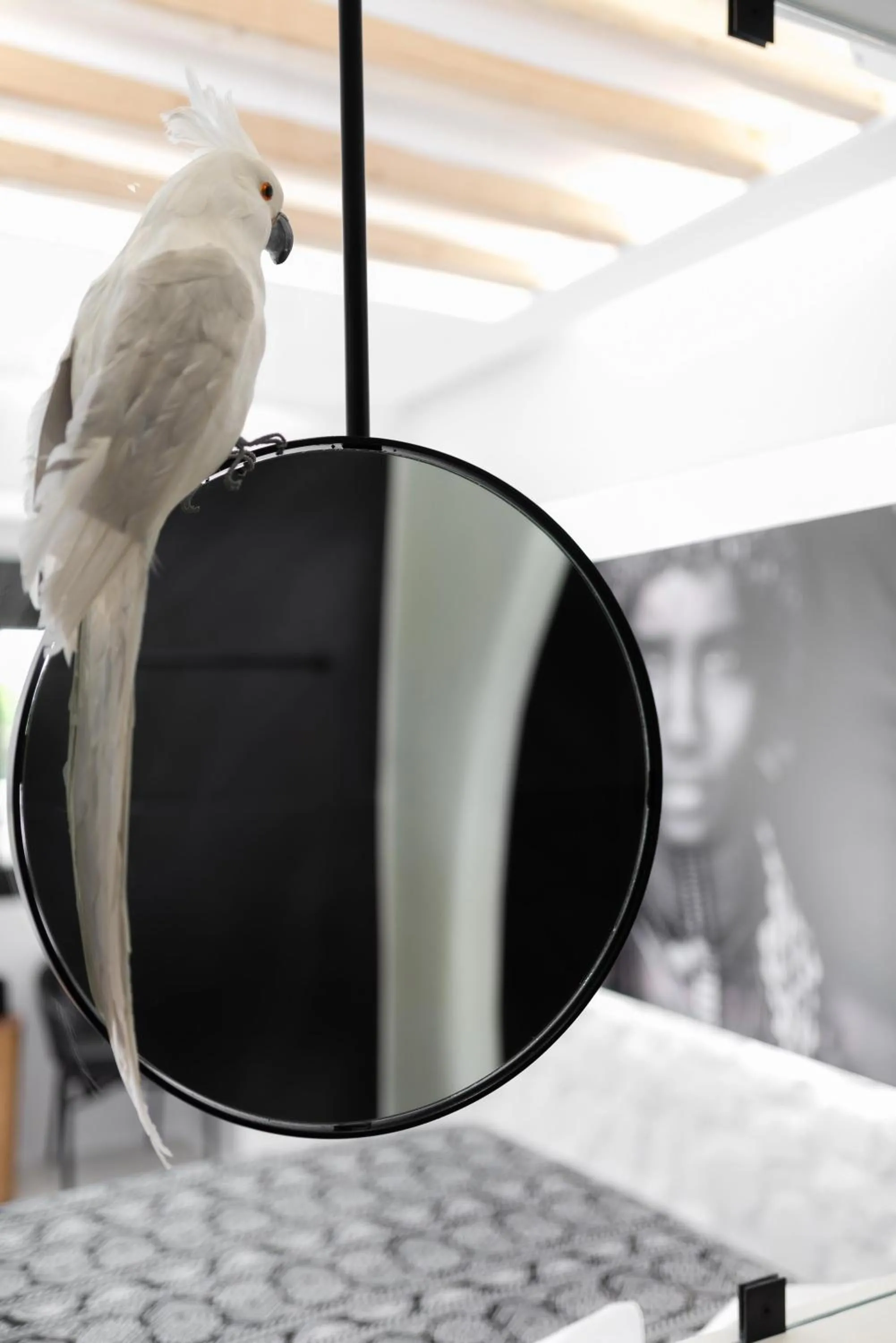 Portara Seaside Luxury Suites