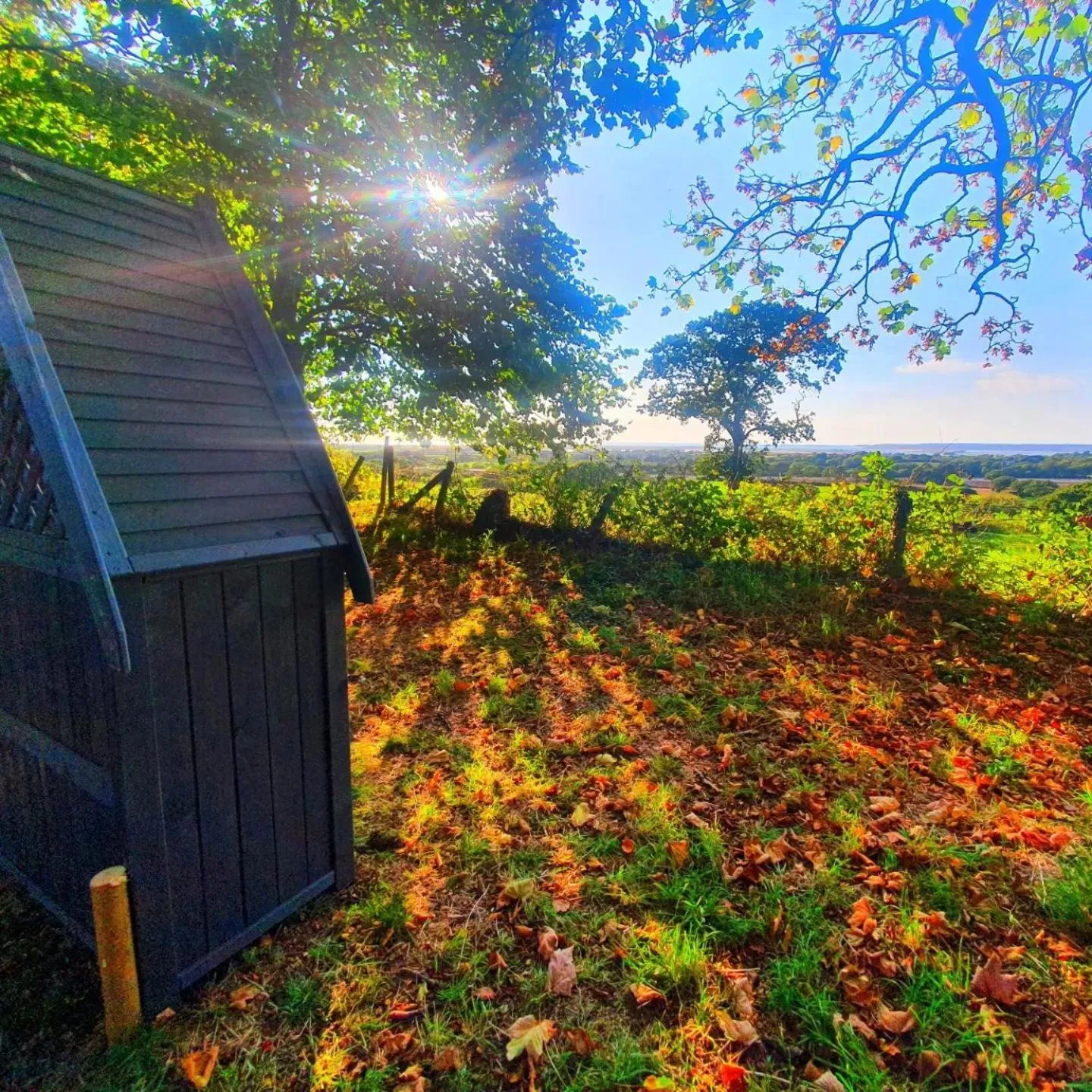 Garden in Plas Dinas Country House