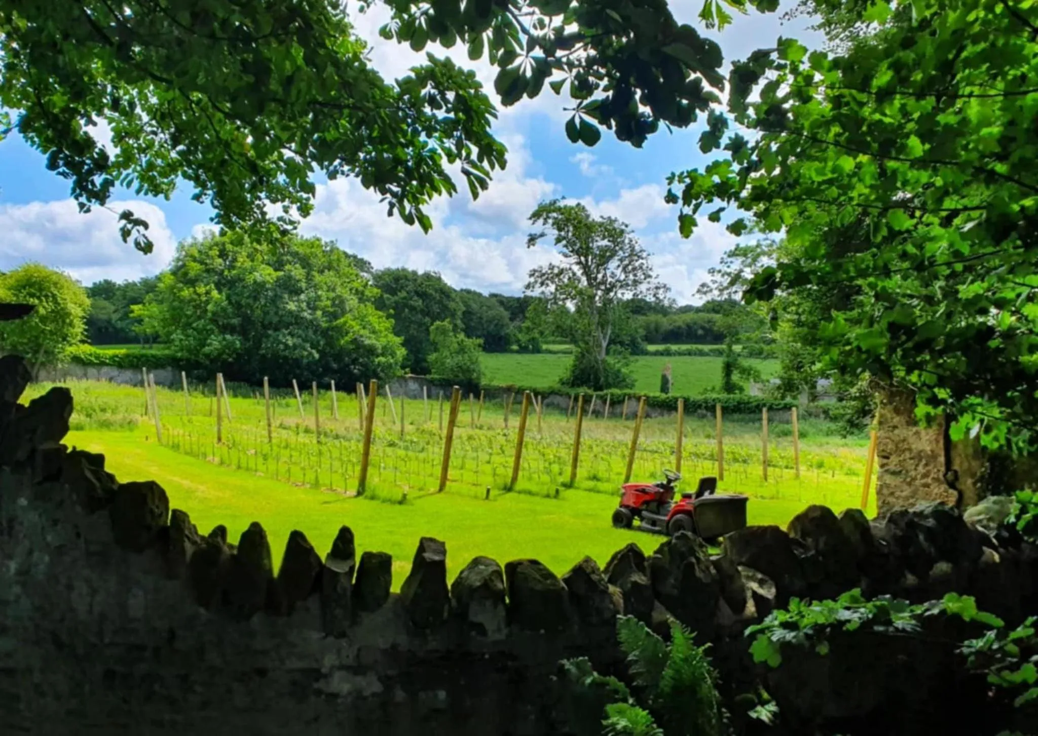 Property building in Plas Dinas Country House