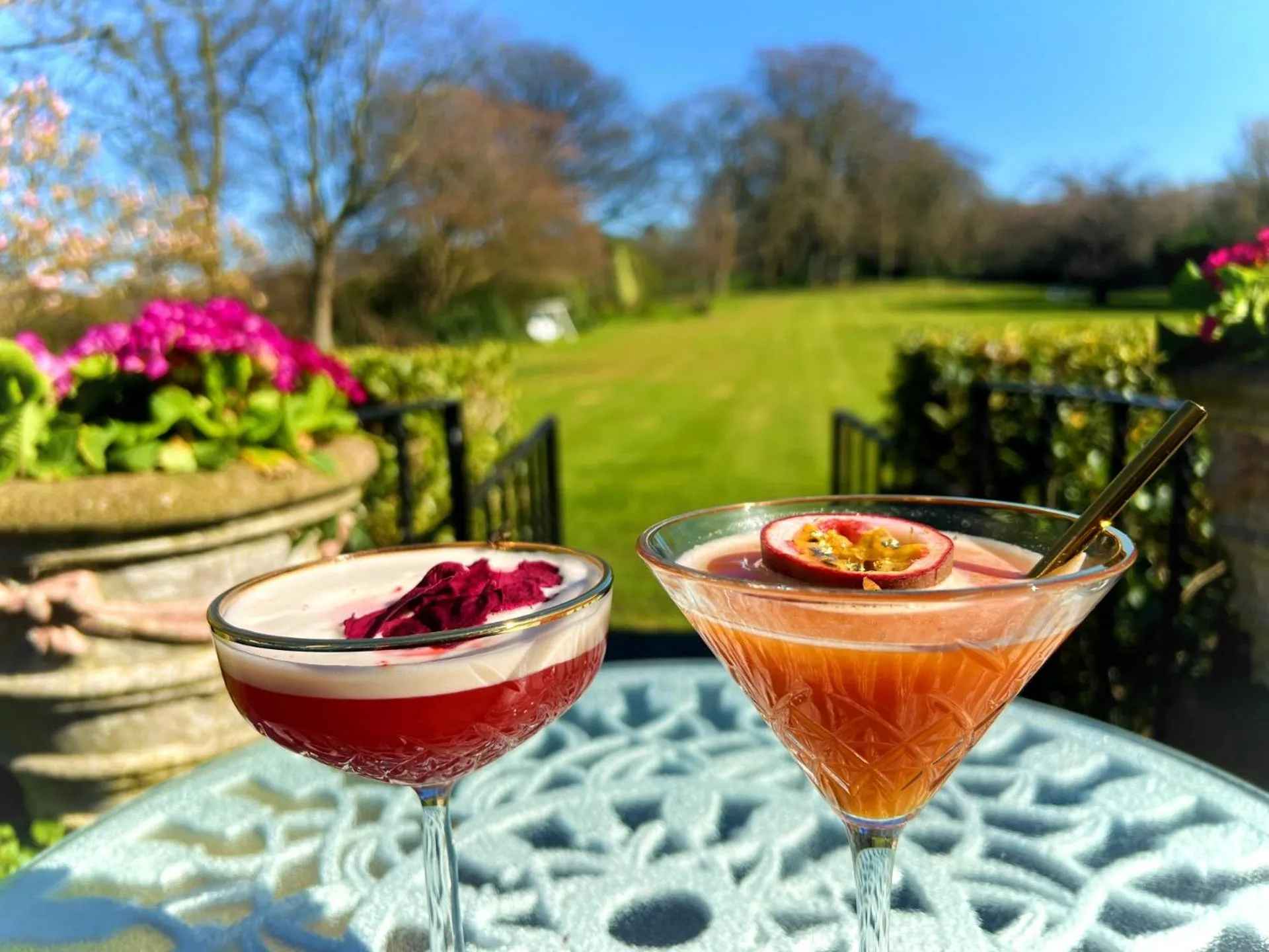 Garden in Plas Dinas Country House