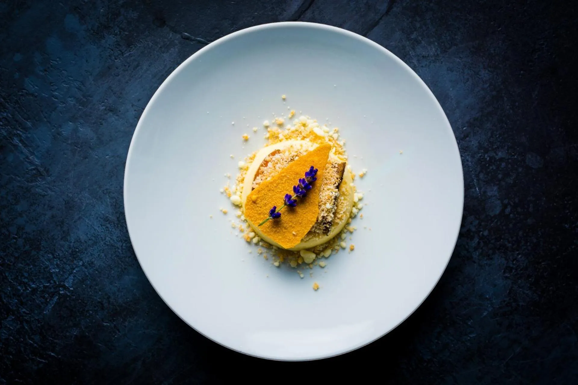 Restaurant/places to eat in Plas Dinas Country House