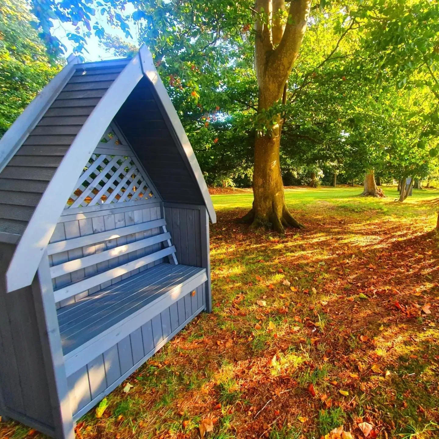 Restaurant/places to eat in Plas Dinas Country House