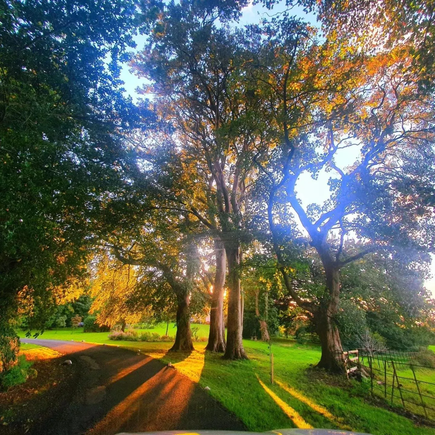 Restaurant/places to eat in Plas Dinas Country House