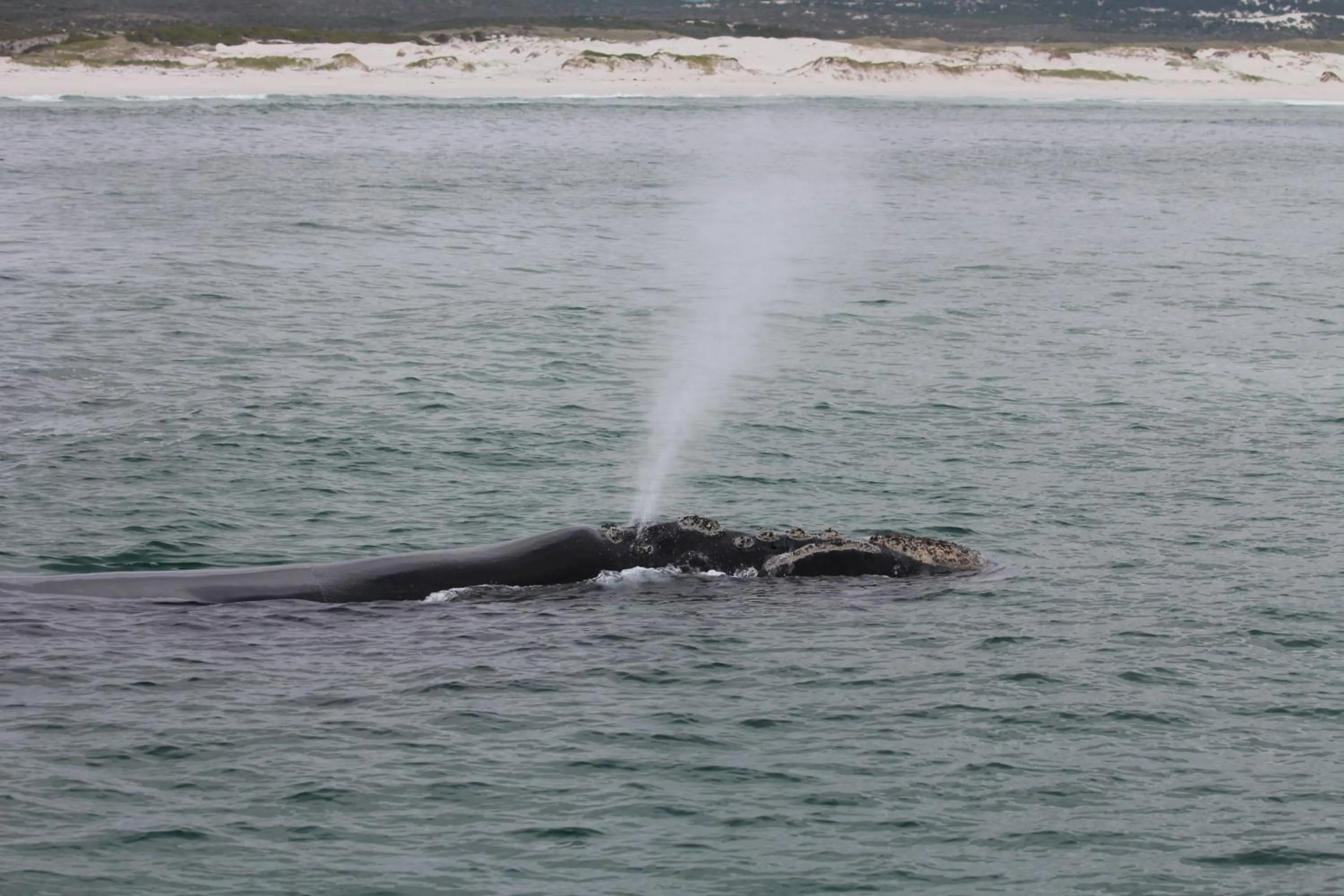 View (from property/room) in Bamboo Guest House